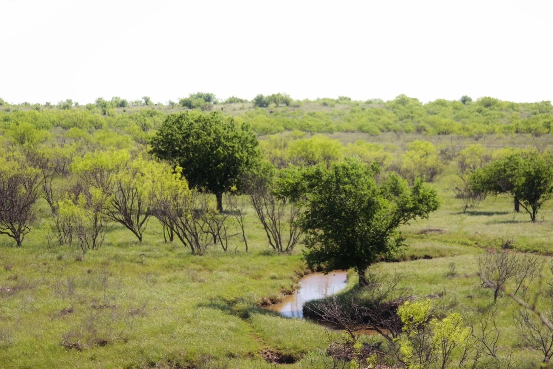 Farm & Ranch Real Estate