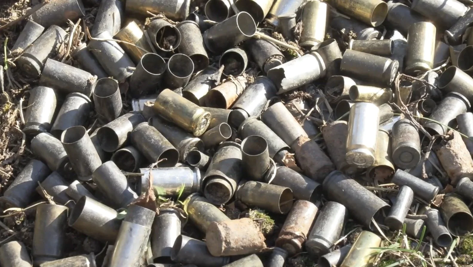 Gun Control Thumbnail