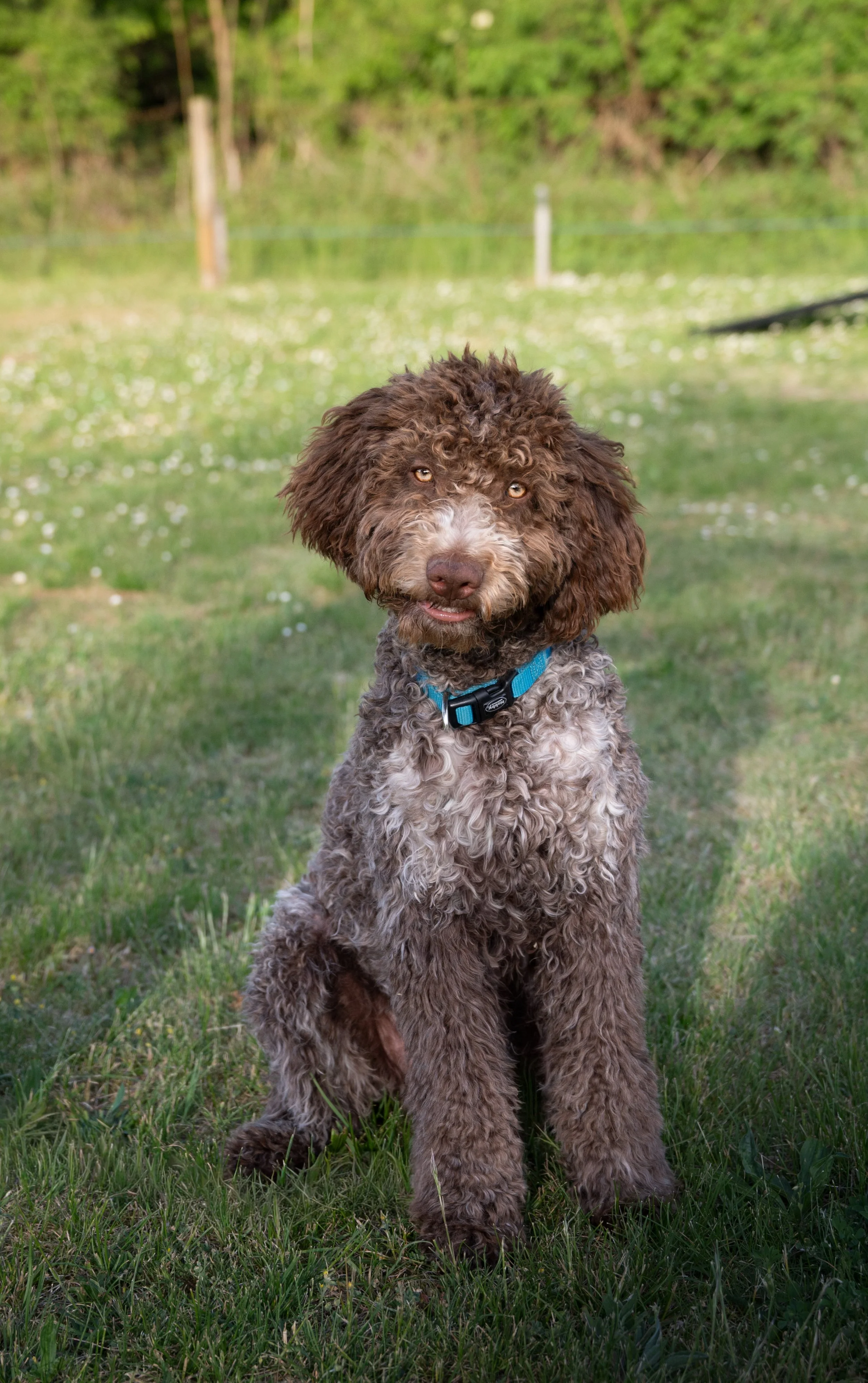 DSD_8295-1.jpg