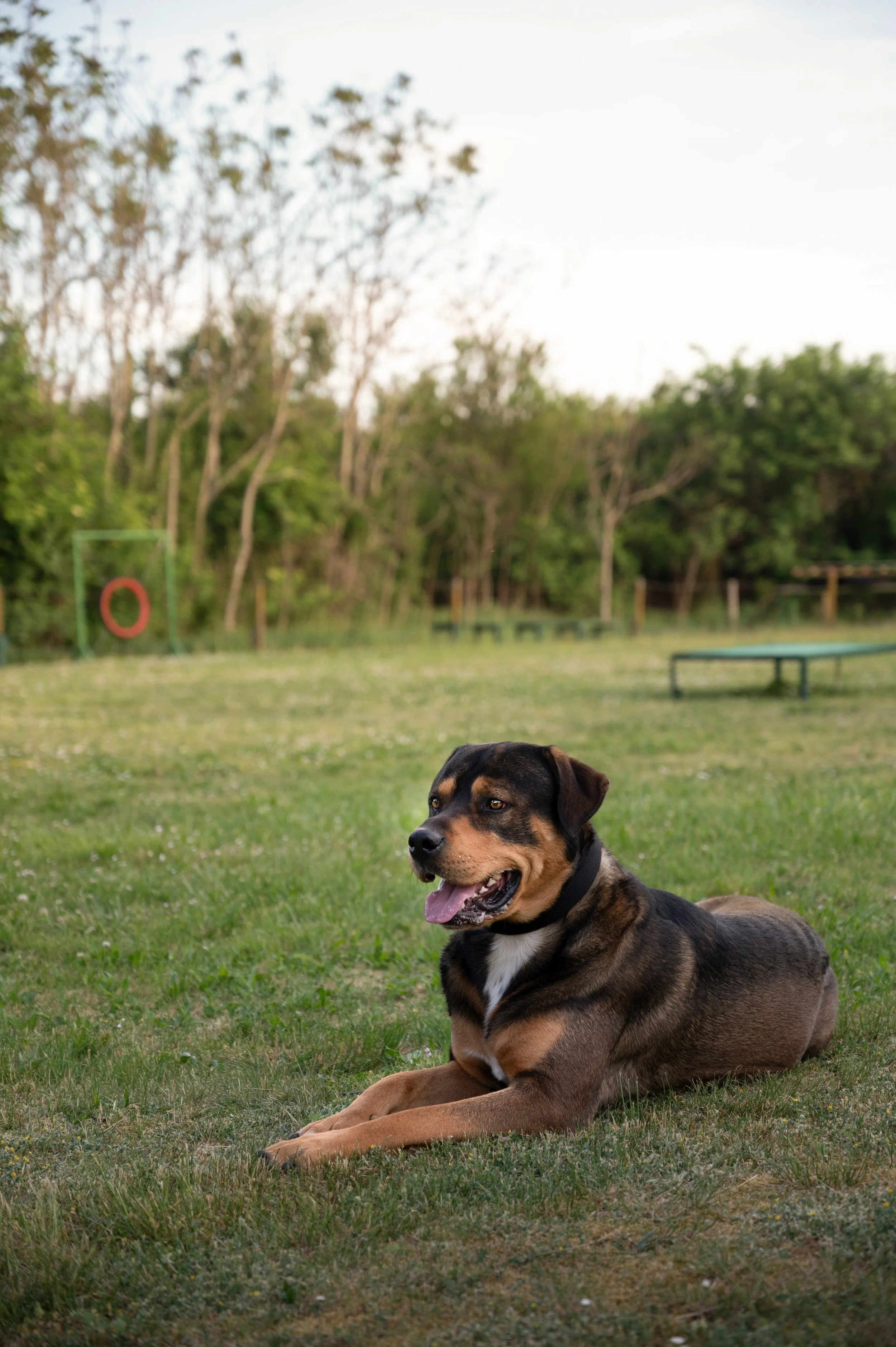 DSD_8318-2.jpg