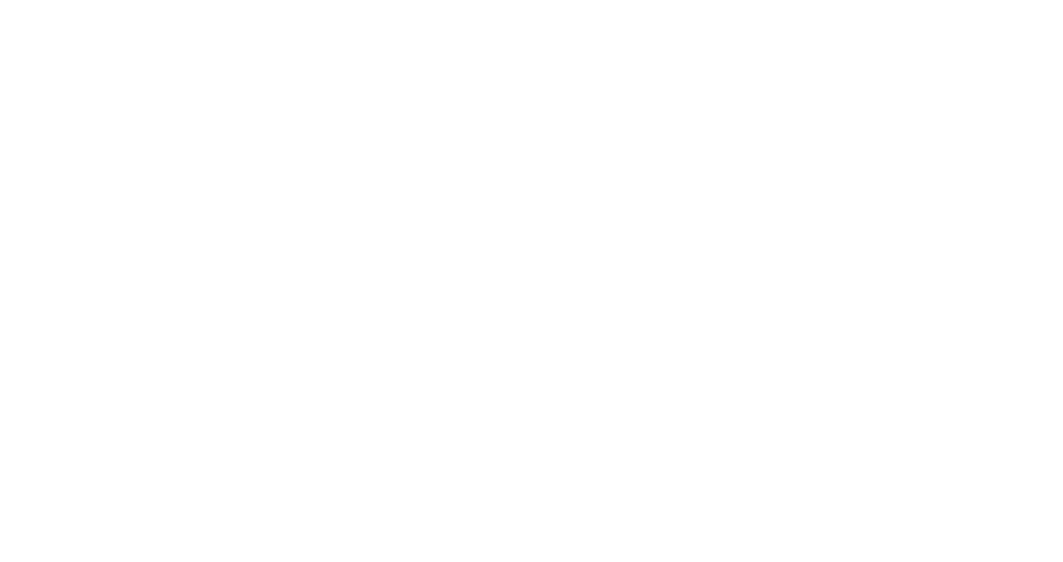 Tahoe Basin Acquisitions LLC
