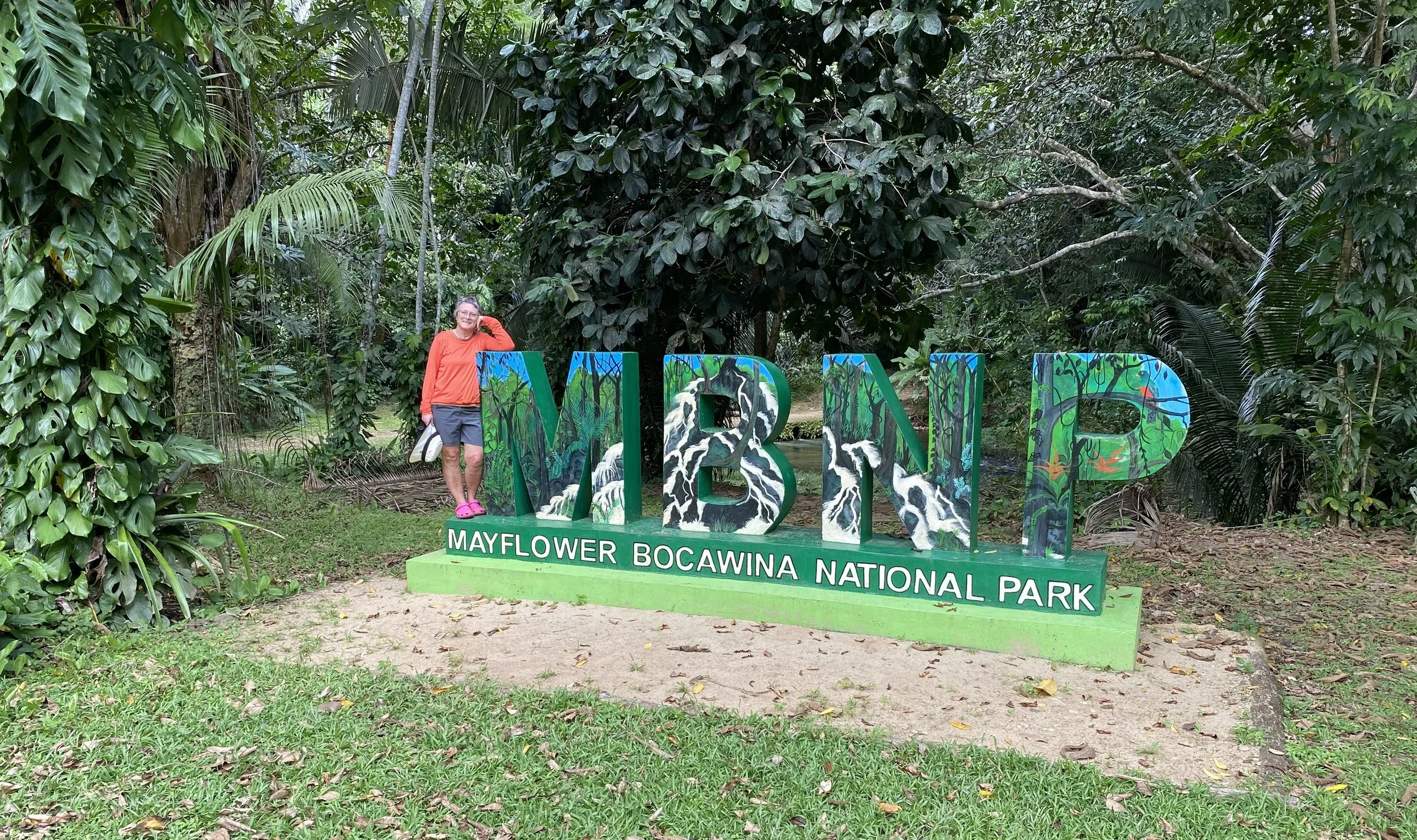 Belize - The Rainforest