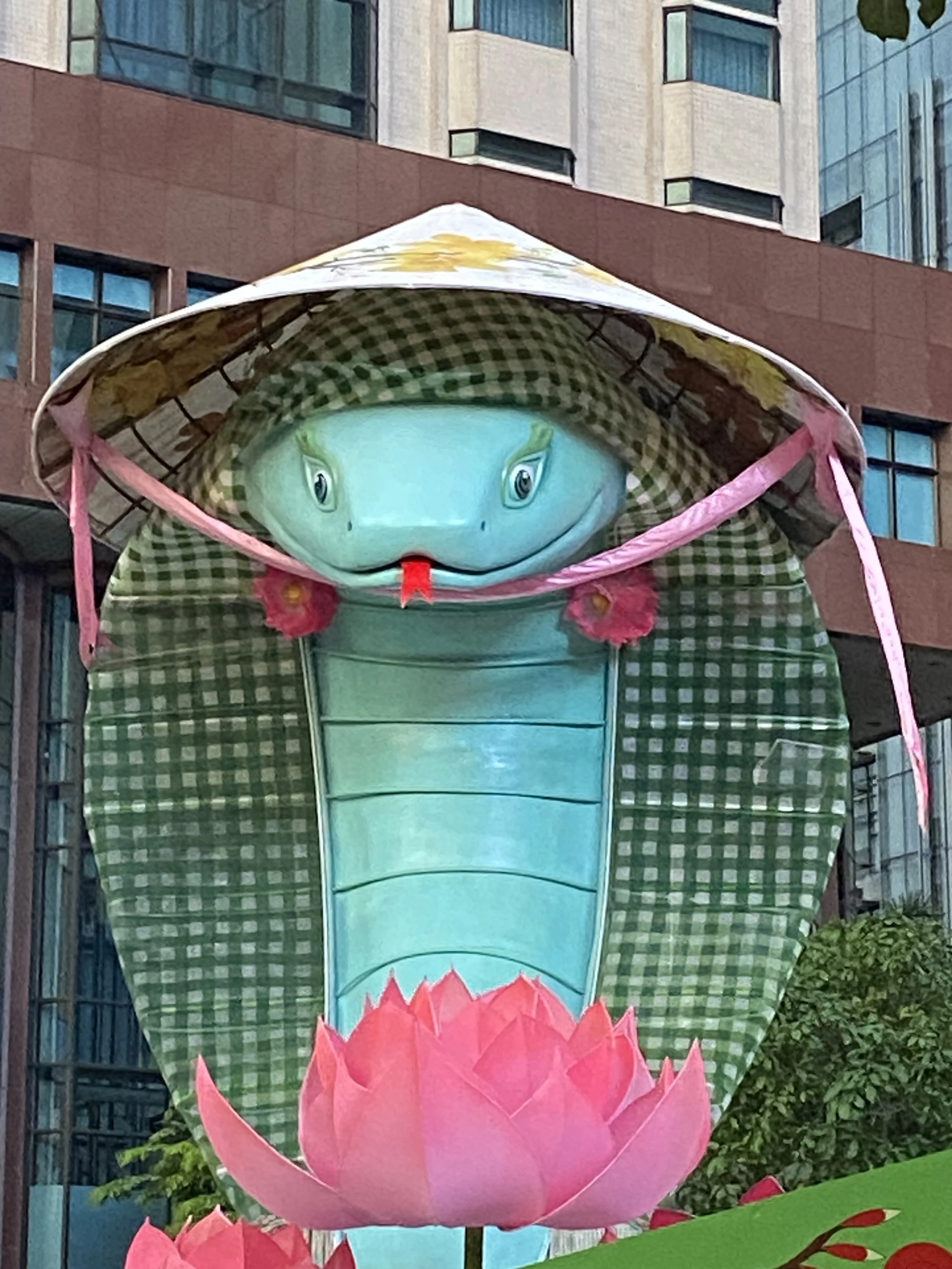 Vietnam - A Year Ago 