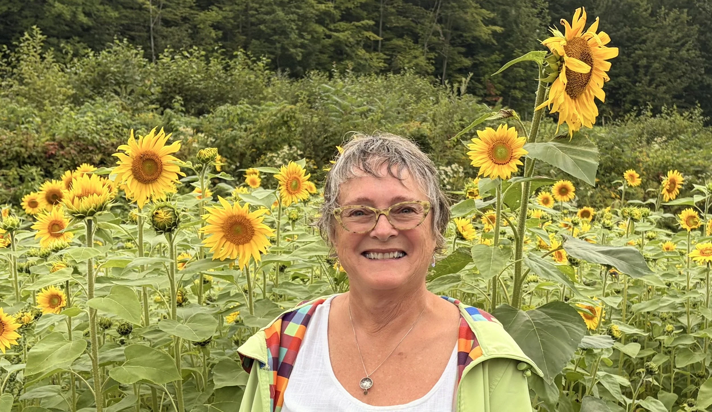 I Love Sunflowers