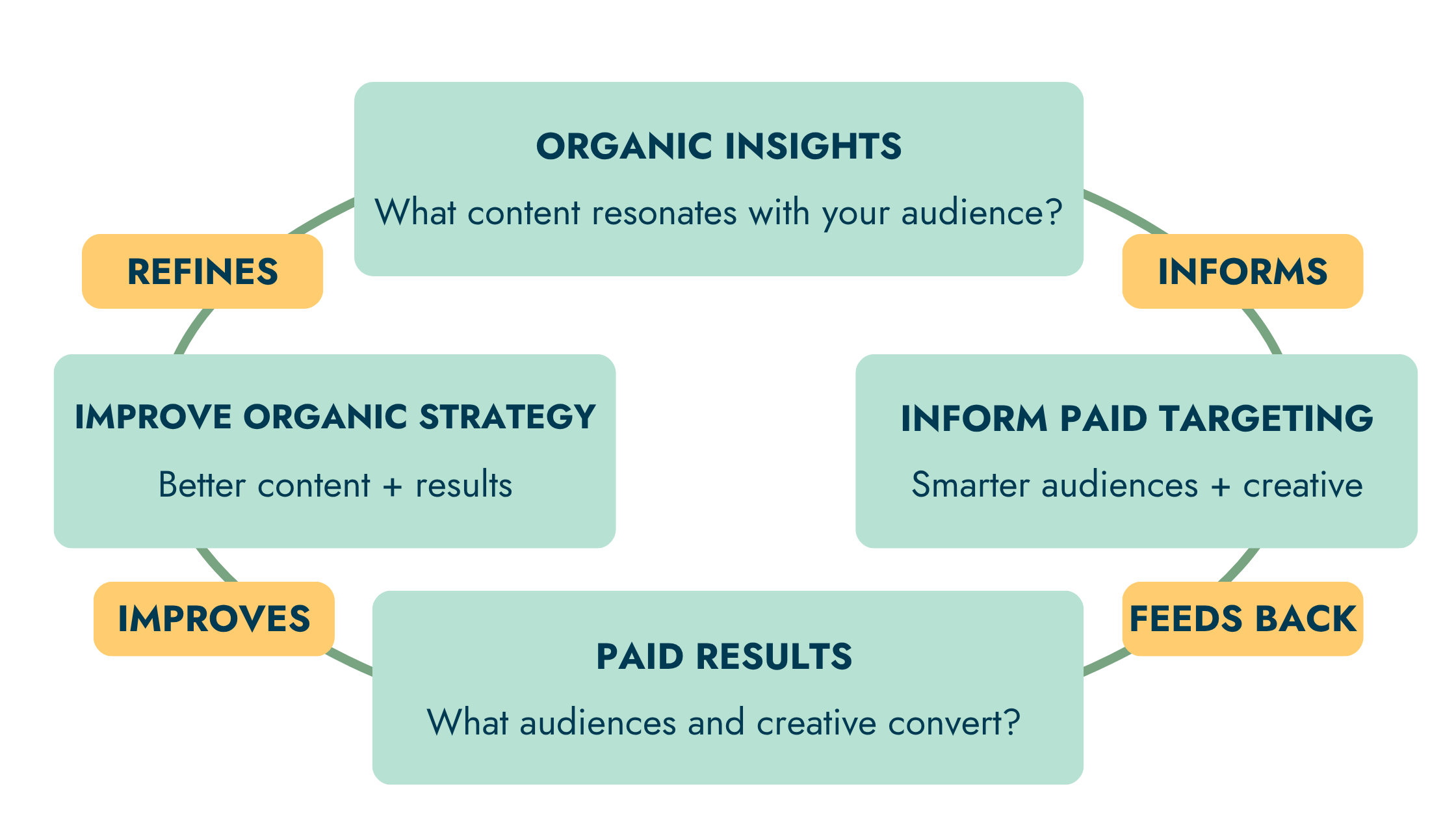 Circular diagram showing how organic social media insights inform paid advertising targeting, which feeds back into a stronger organic strategy — a continuous improvement loop by The Winfield Creative