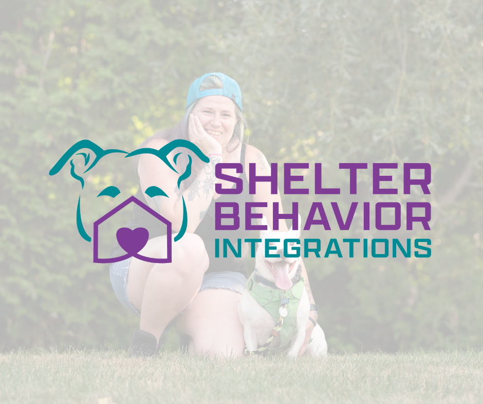 A smiling woman wearing a blue baseball cap crouching on grass next to a dog with a harness, with trees and greenery in the background, overlaid with Shelter Behavior Integrations logo featuring a stylized dog's face and house.