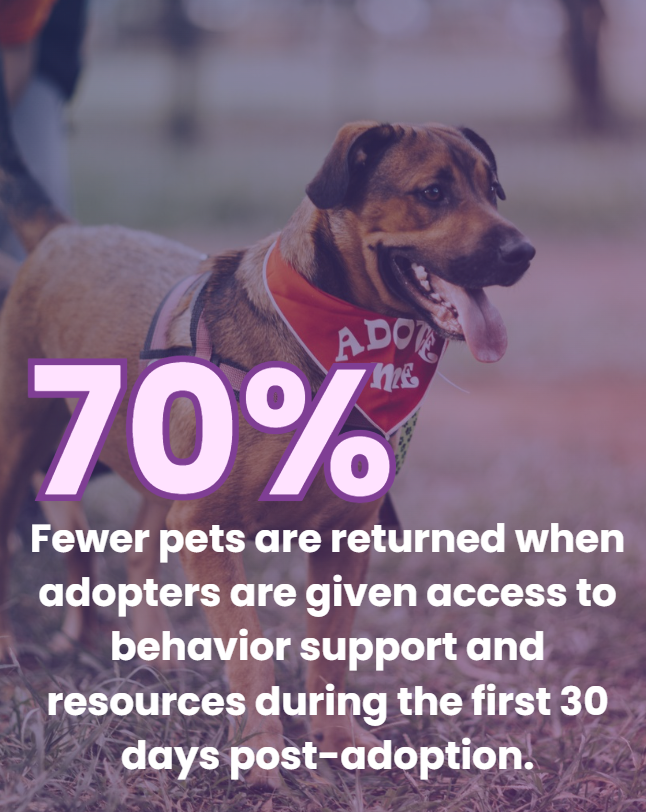 A happy dog wearing a red bandana that says "Adopt Me" standing outdoors. Overlaid text states "70% fewer pets are returned when adopters are given access to behavior support and resources during the first 30 days post-adoption."