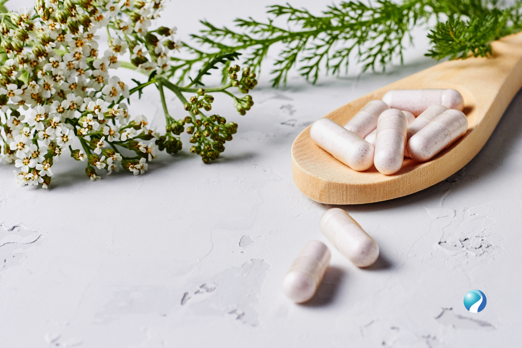 White herbal supplement capsules on a wooden spoon with white flowers and green foliage in the background.