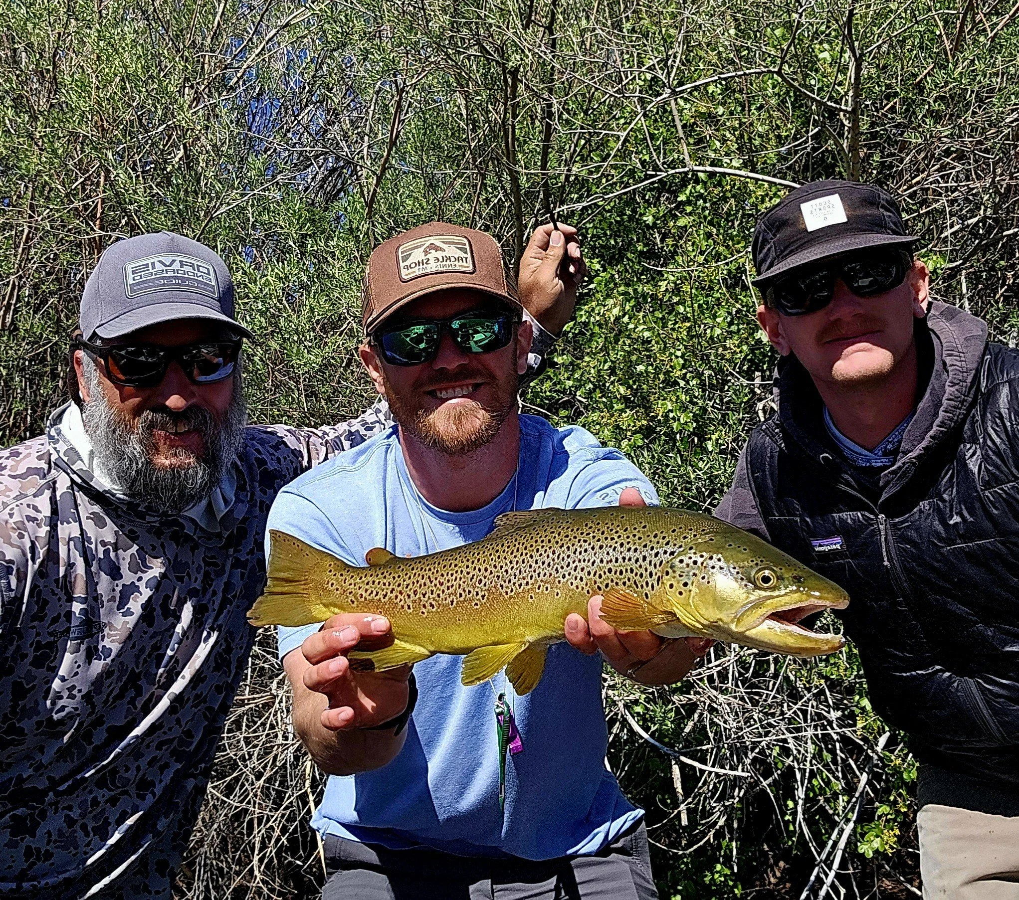 beaverhead river guided fishing trips