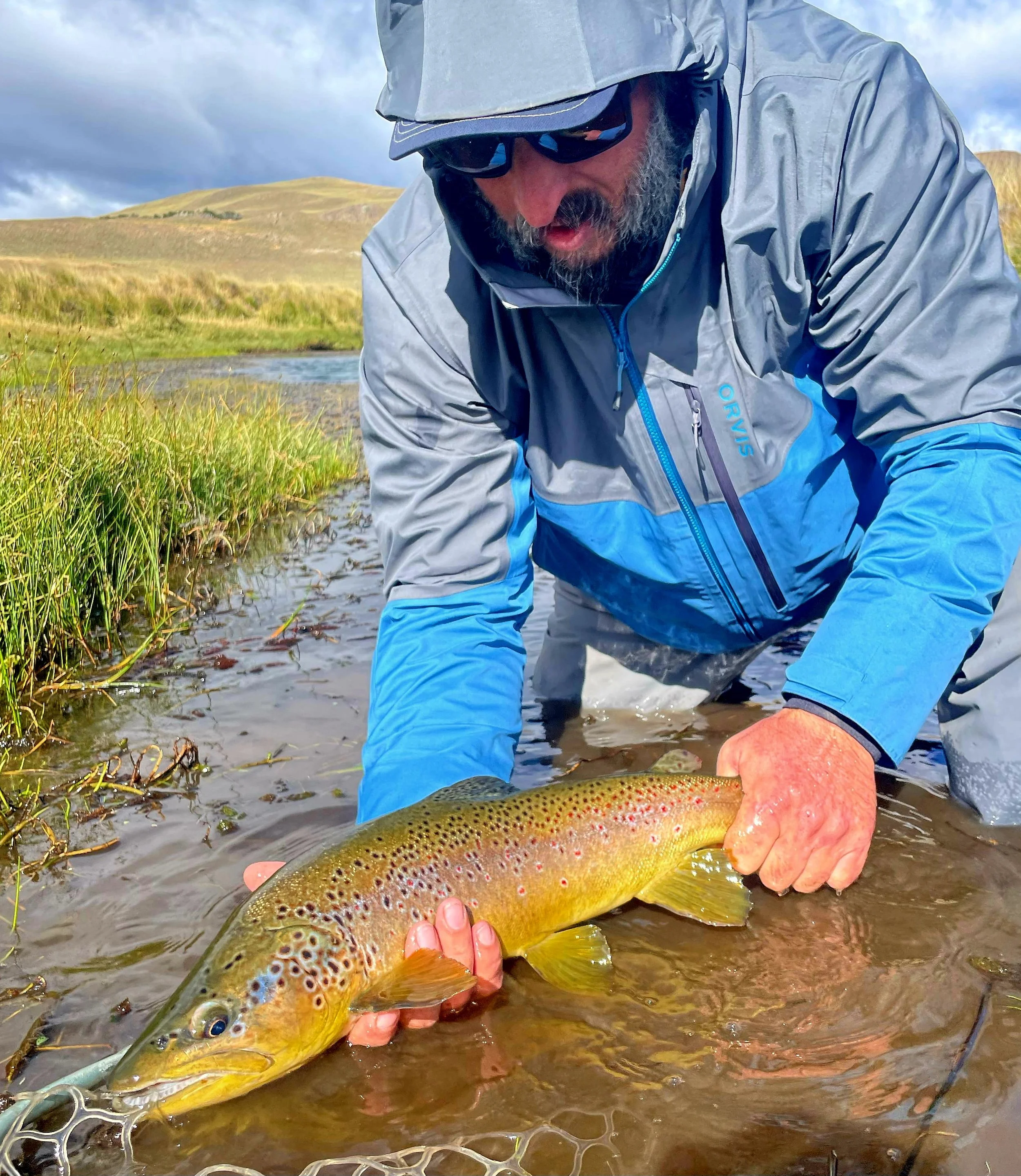 Man wearing a gray and blue waterproof jacket, sunglasses, and a gray hat, holding a large colorful fish in shallow water with grassy banks and rolling hills in the background.