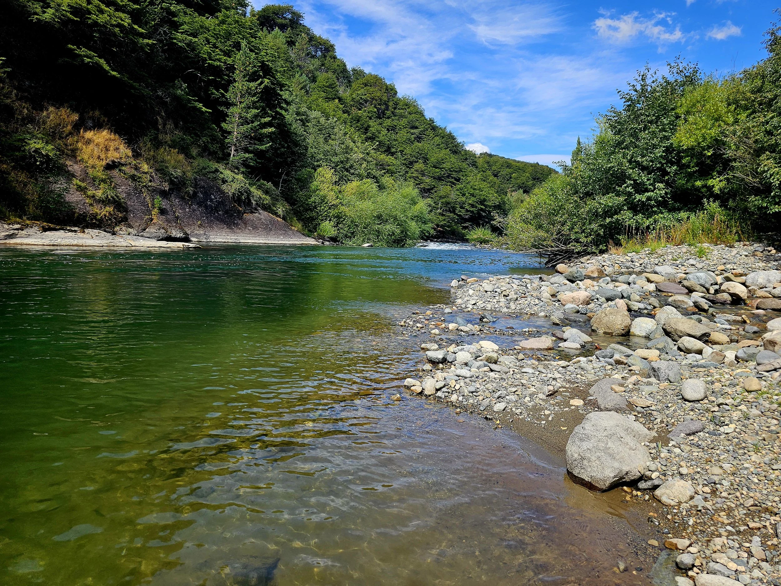 A river flowing through a forested landscape with green trees and hills under a blue sky with clouds.