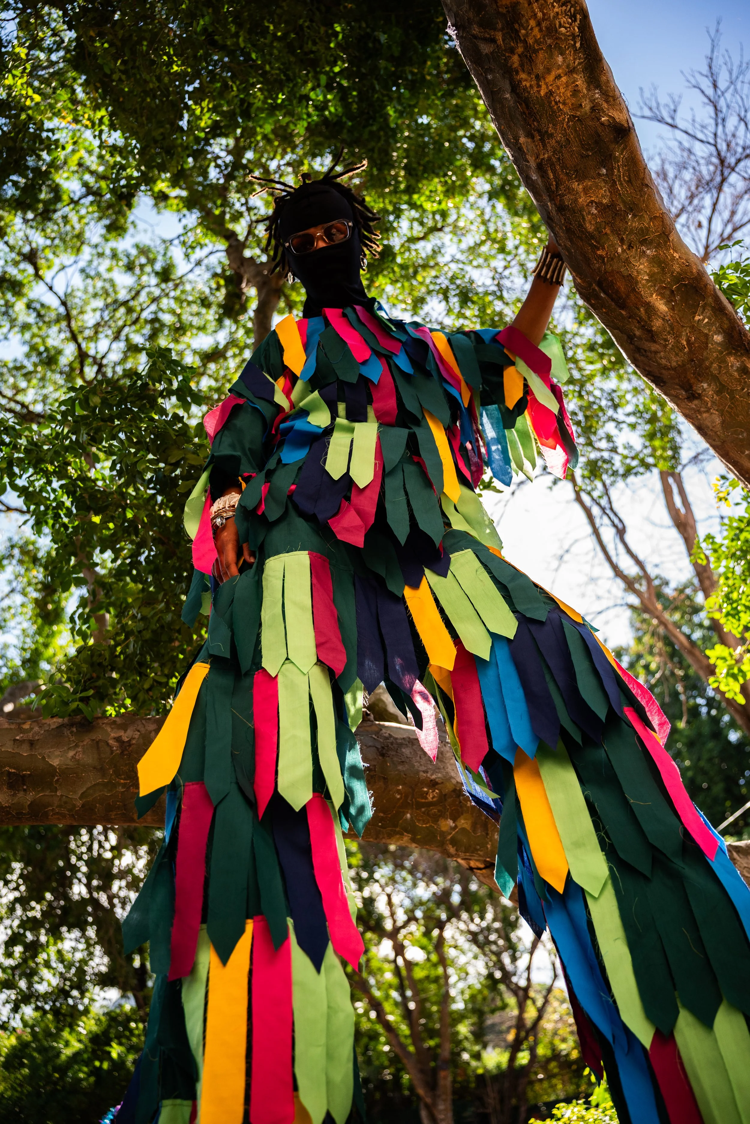 Person dressed in a multicolored costume made of fabric strips, standing in a tree, wearing sunglasses and a face covering, surrounded by green foliage.