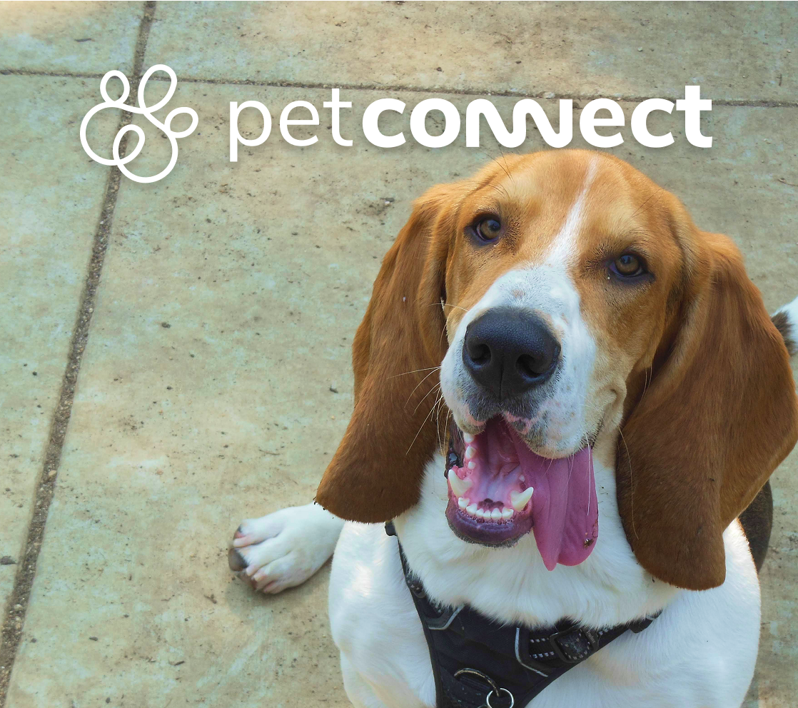 PetConnect | End-to-End