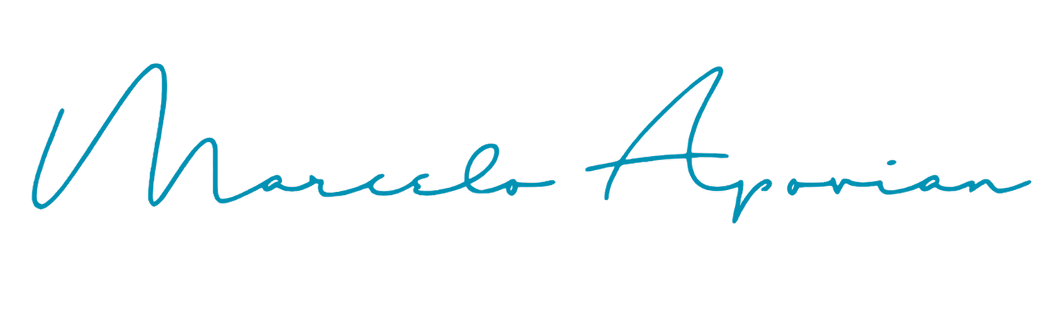 Marcelo Apovian | Palestras e Treinamentos de Performance