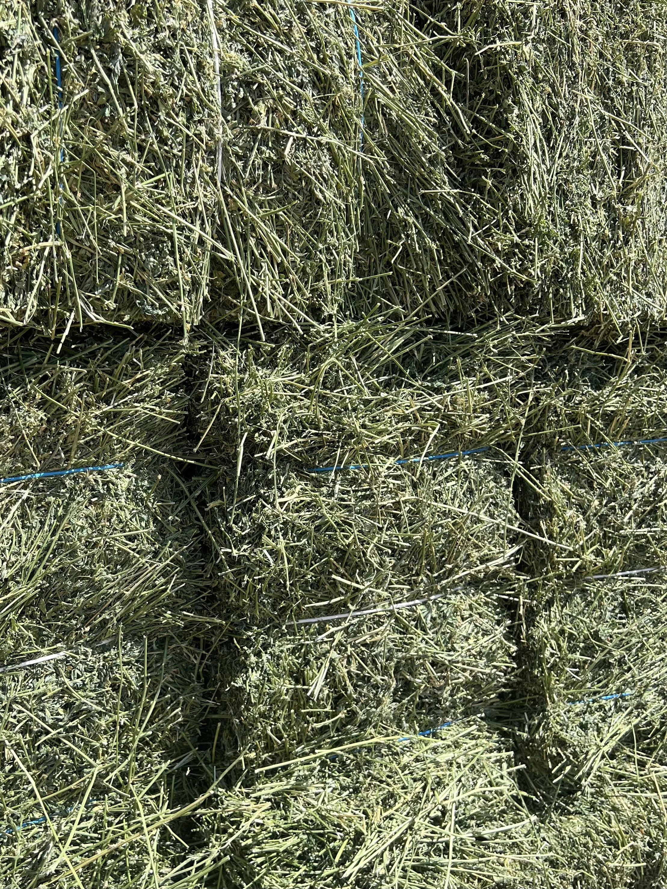 Close-up of stacked dried hay bales tied with blue string.