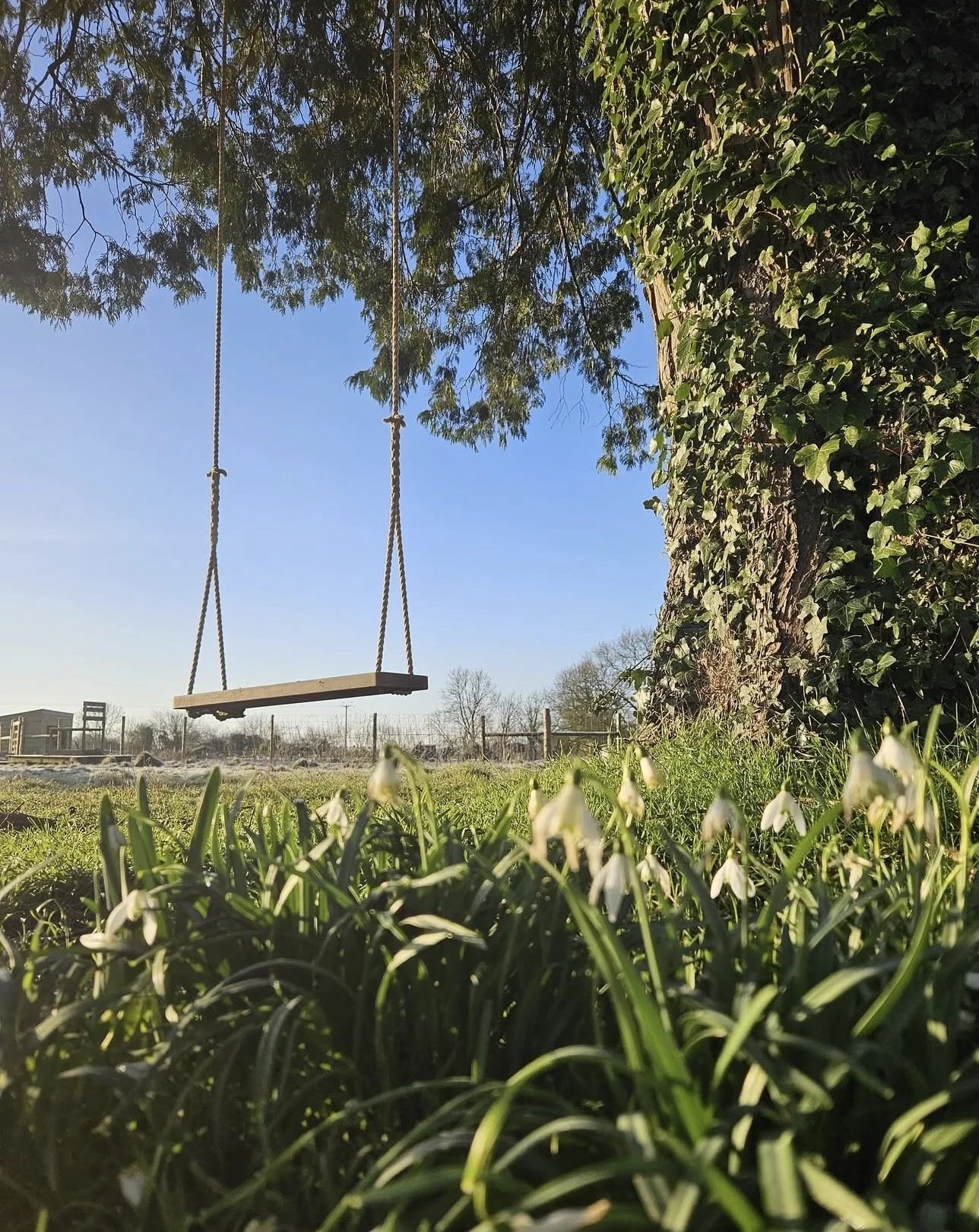 29 March | Slow Sundays at Vallis Farm, Frome