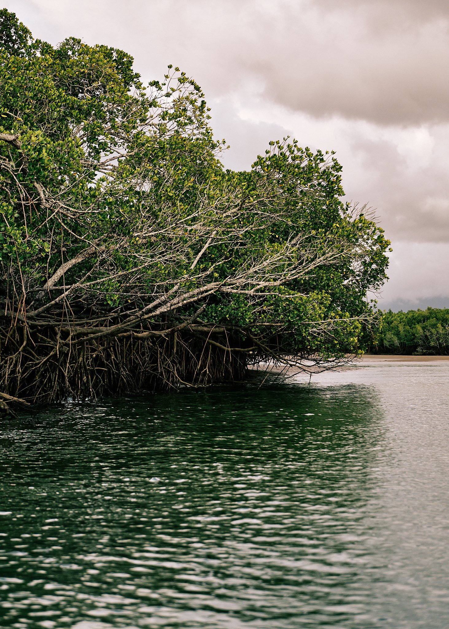 Hinchy Comp 24-2024-08-25 08.46.04.jpg