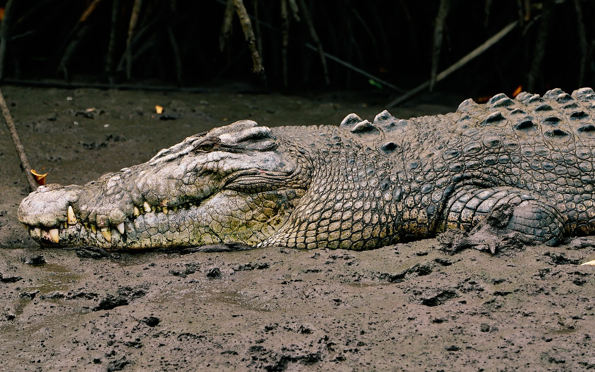 Hinchy Comp 24-2024-08-27 11.28.49.jpg