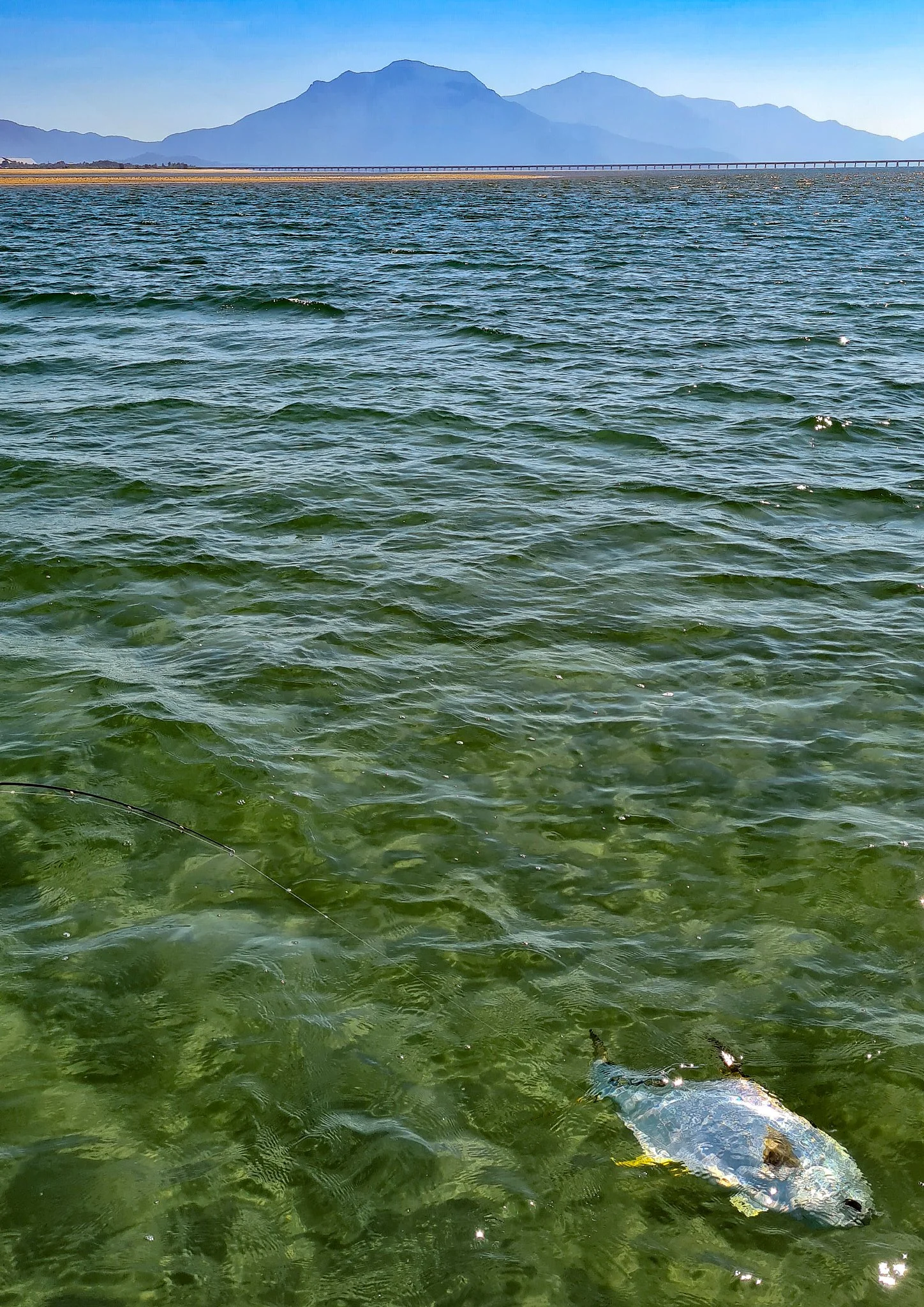 Unsorted-2021-07-21 12.10.58.jpg