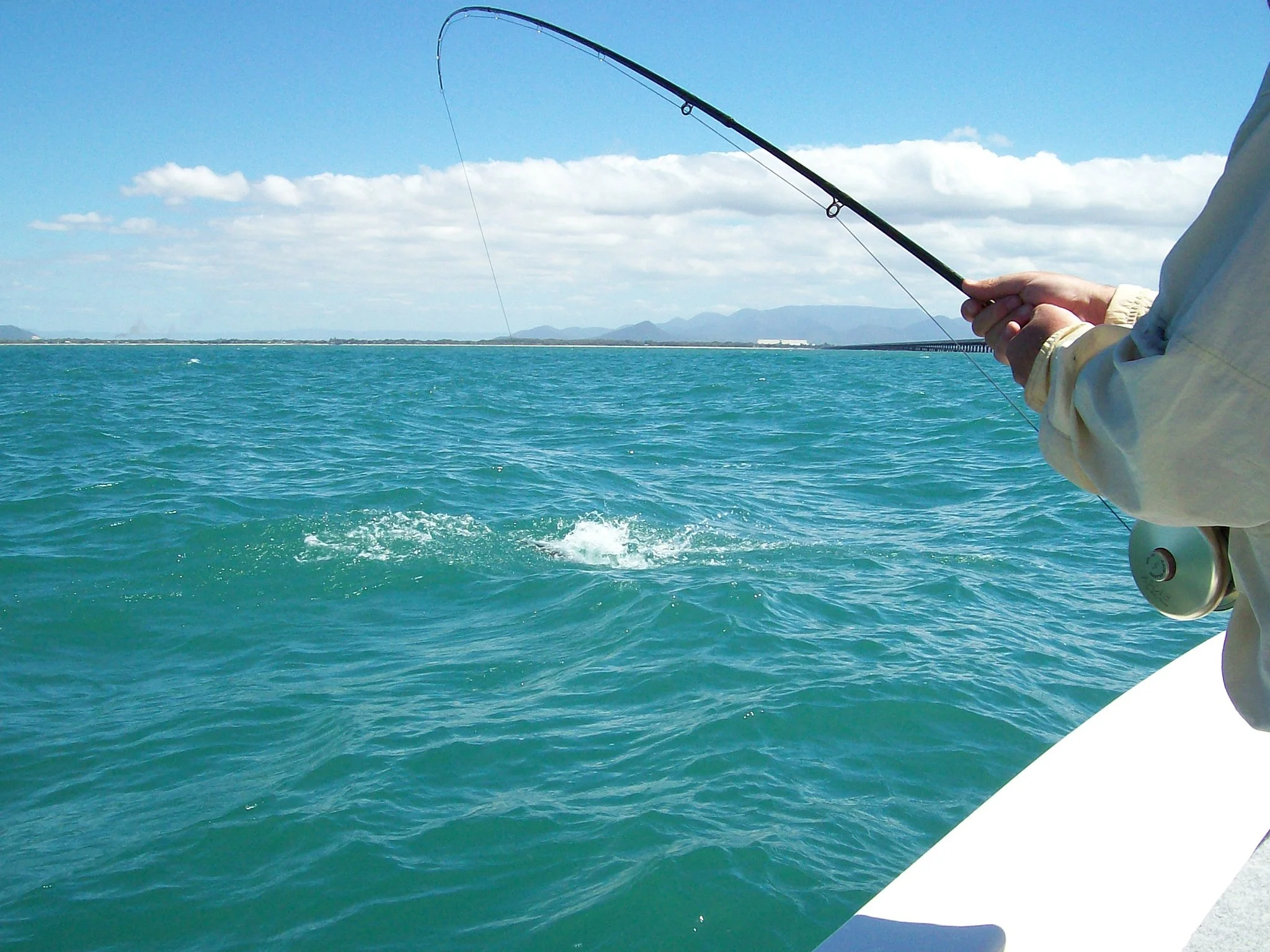 Unsorted-2008-08-09 12.36.07.jpg