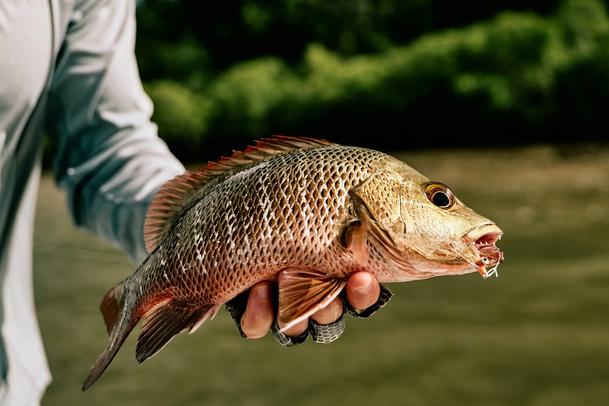 Hinchy Comp 24-2024-08-25 09.03.58 1.jpg