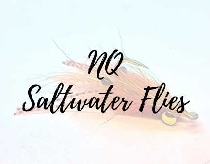 Close-up of a small fish with a sign that reads 'No Saltwater Flies'