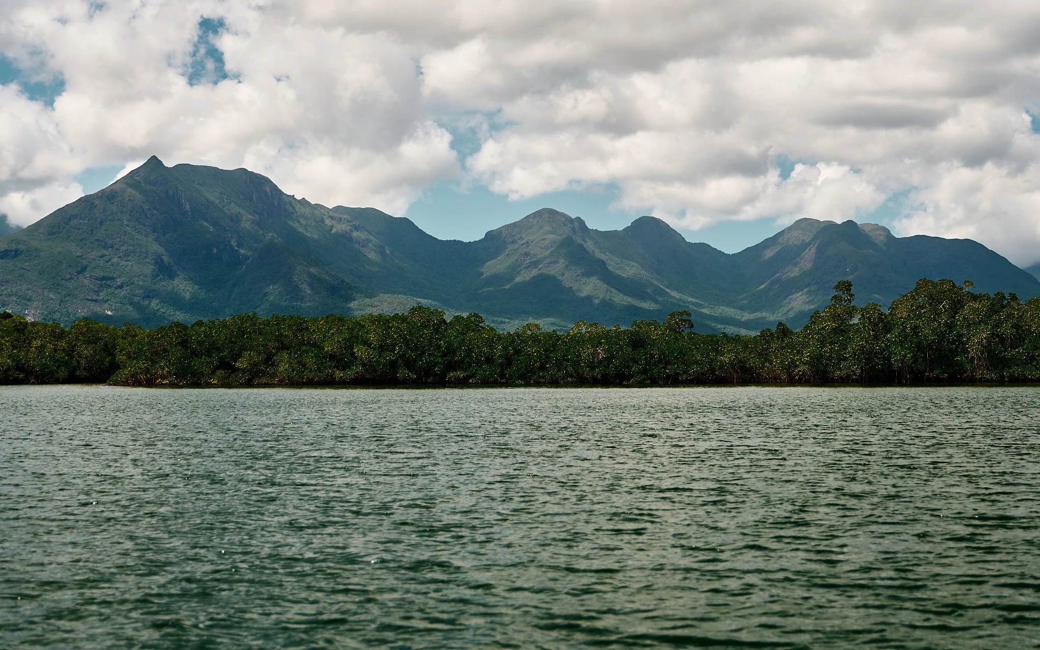 Hinchy Comp 24-2024-08-25 12.42.49.jpg