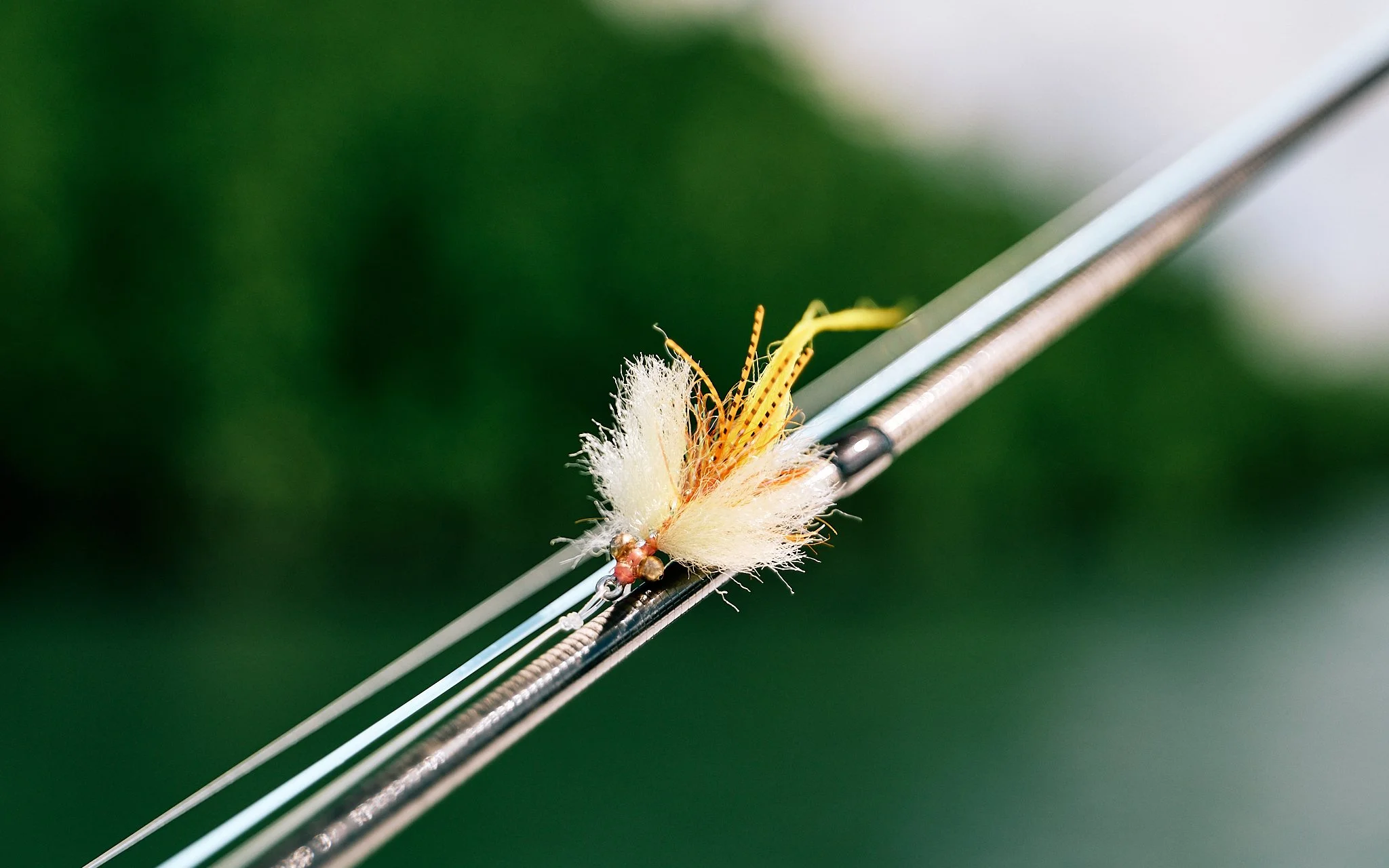 Hinchy Comp 24-2024-08-25 13.20.49 423.jpg