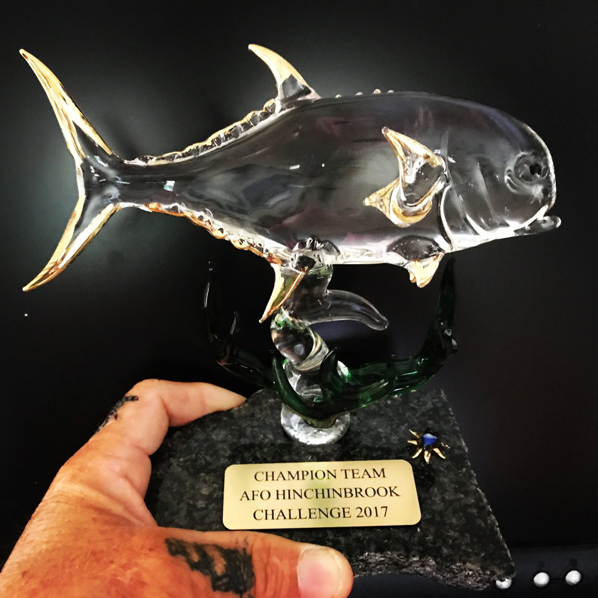 Unsorted-2017-08-21 11.05.53.jpg