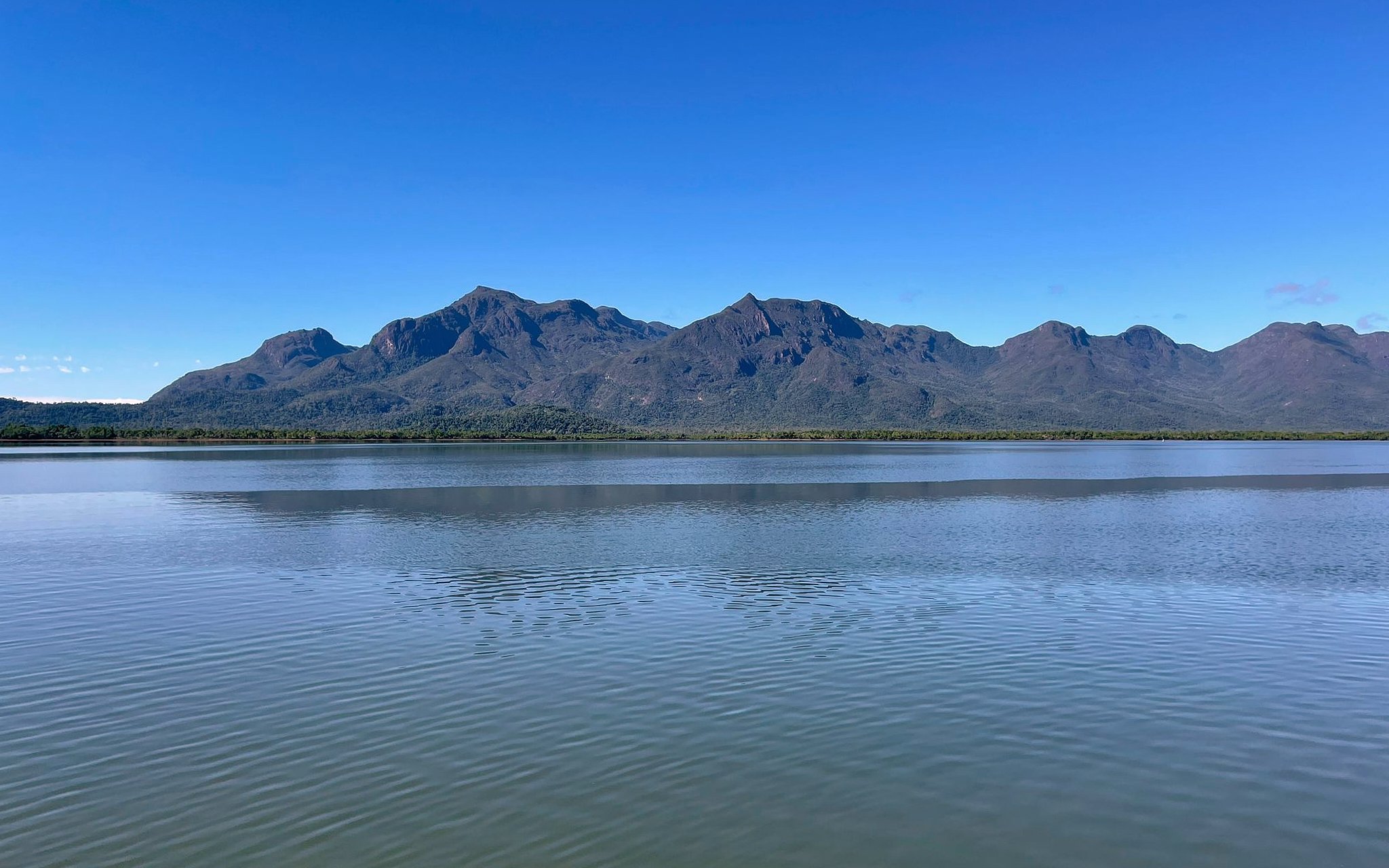 Unsorted-2025-07-24 06.44.50 2.jpg