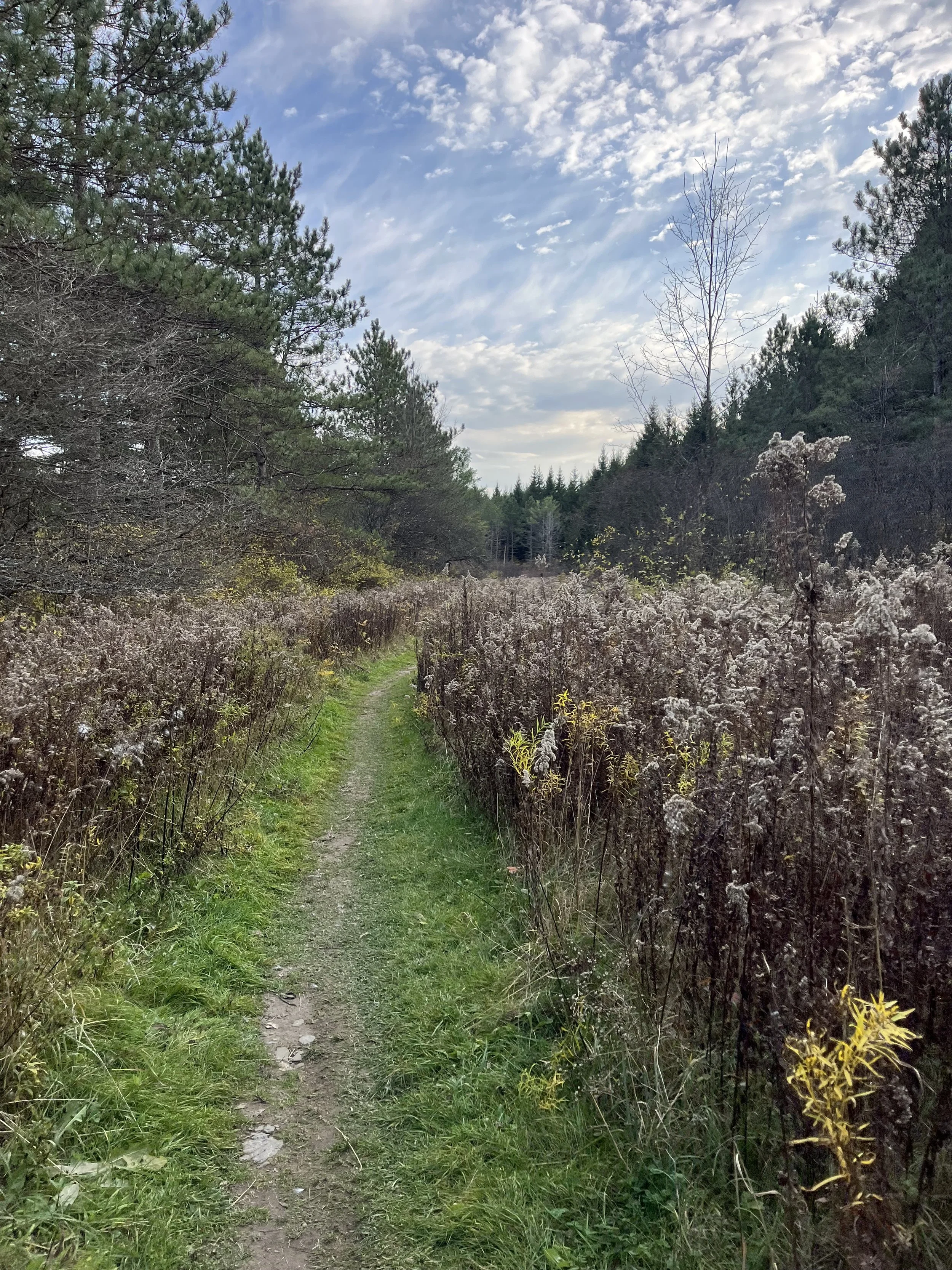 Music To You, Outside Ithaca Area