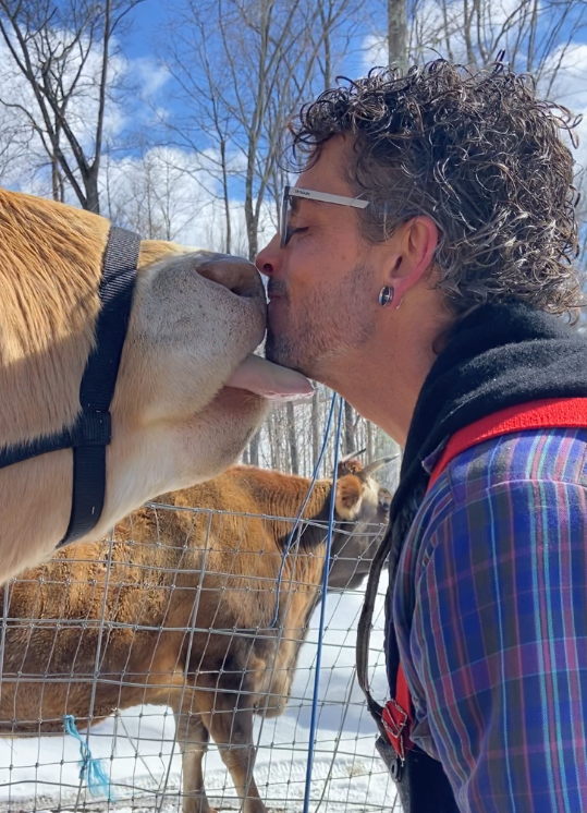 A man with curly hair, glasses, and earrings kisses a light brown cow on the nose through a fence on a snowy day, with leafless trees and another cow in the background.