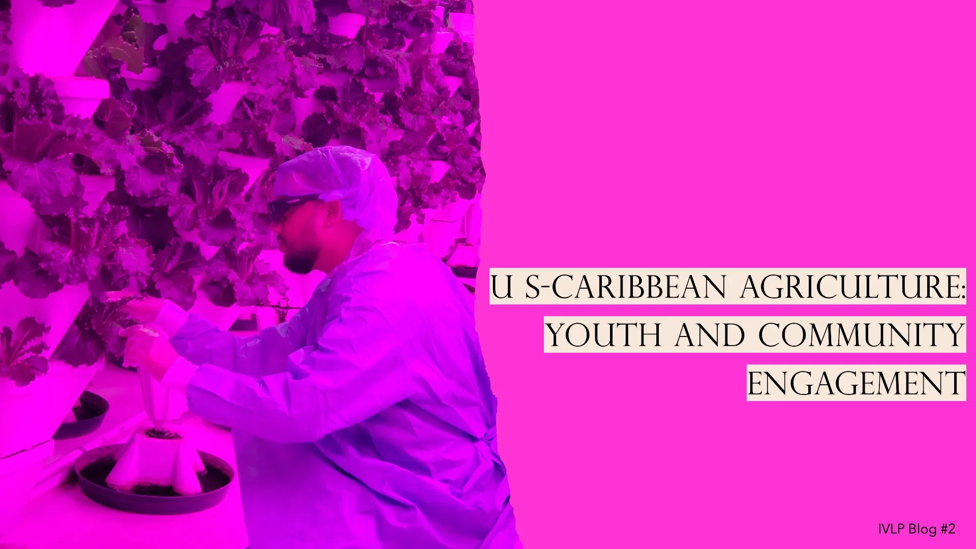 Is Caribbean Agriculture Doomed Without Community and Youth Engagement? U.S.-Caribbean Collaboration Aims to Find Out
