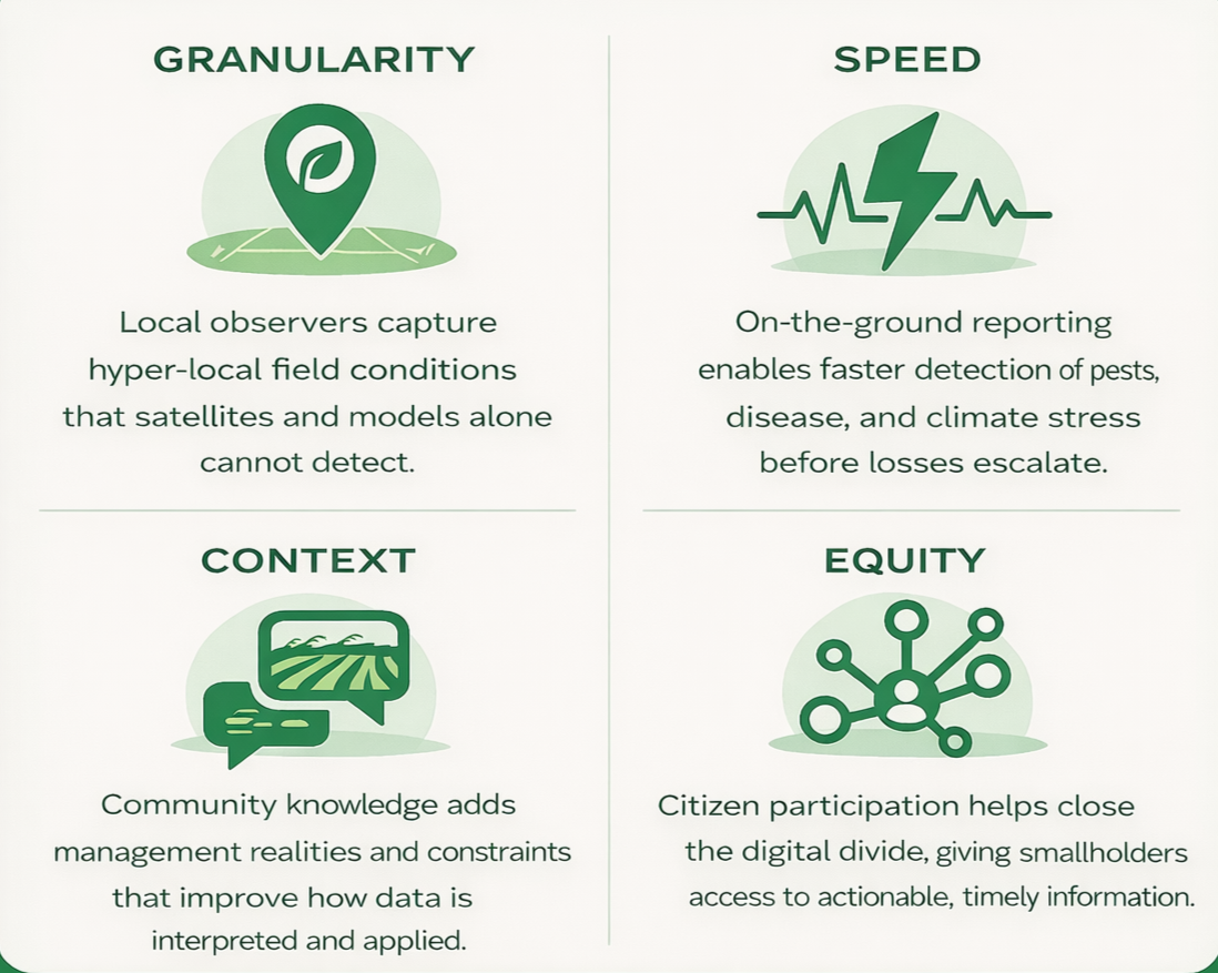 Infographic with four sections titled 'Granularity,' 'Speed,' 'Context,' and 'Equity.' Each section has icons: a location pin with a leaf, a lightning bolt with a heartbeat line, a landscape with a speech bubble, and a network with a person at the center. Text explains concepts related to local observation, on-the-ground reporting, community knowledge, and citizen participation.