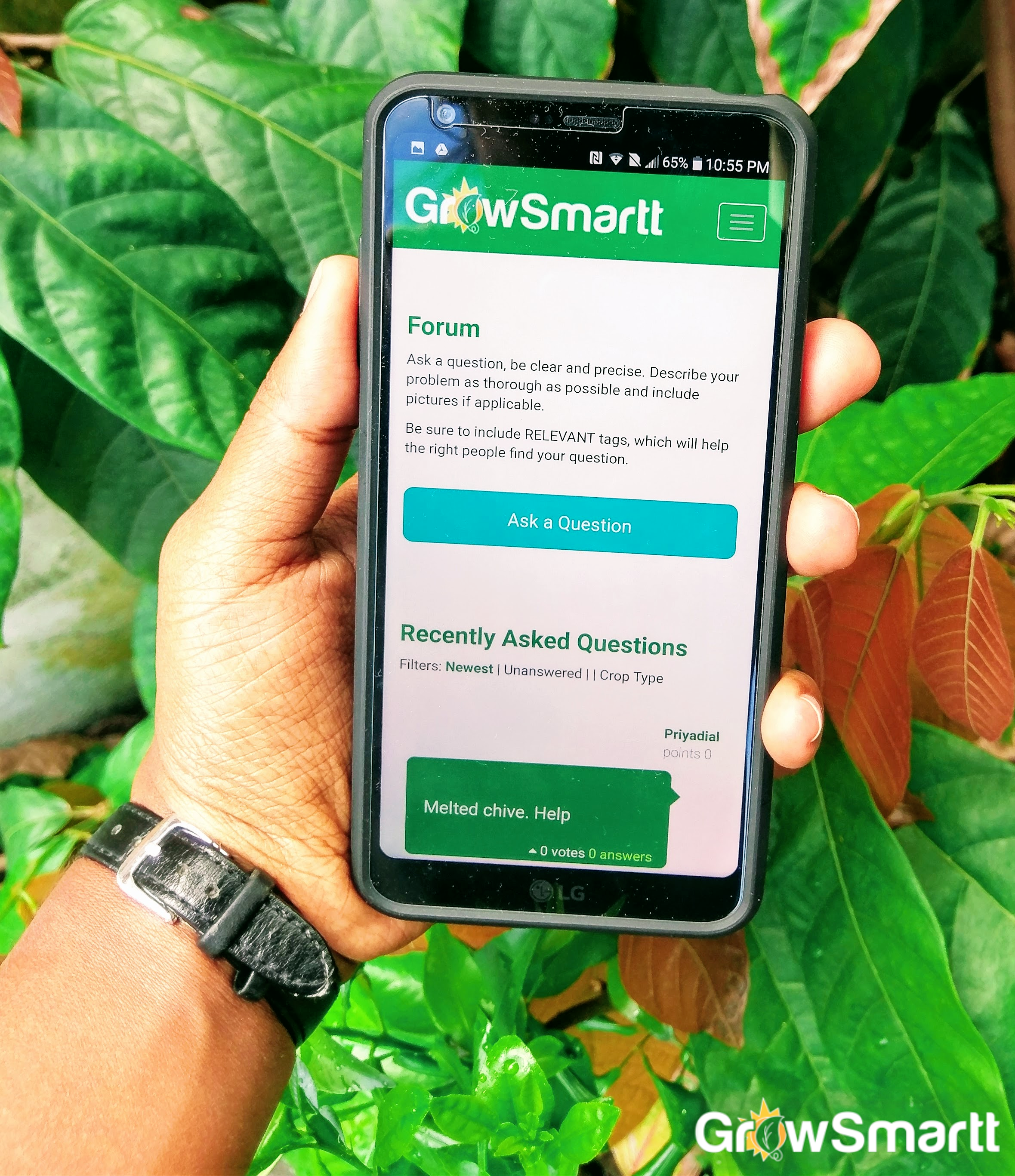 Hand holding a smartphone displaying the GrowSmartt website with a forum page open, surrounded by green and red foliage.