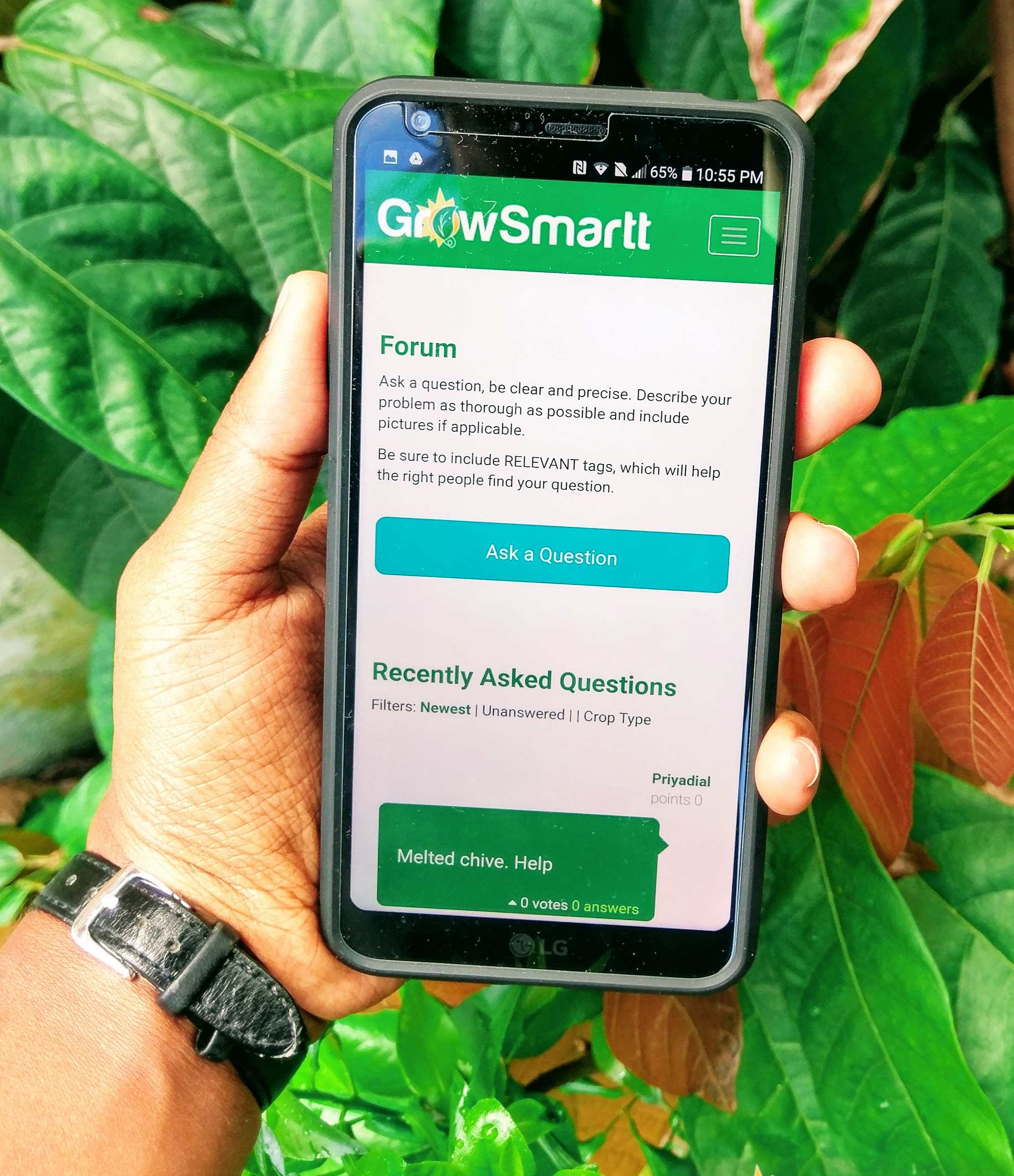 A person holding a smartphone displaying the GrowSmart website with a 'Ask a Question' button, in front of green leafy plants.