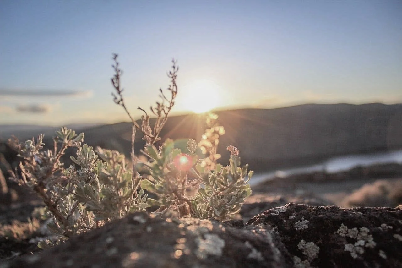How Do I Find Wisdom in a Noisy World? Why Proverbs is the Ultimate Guide to Life