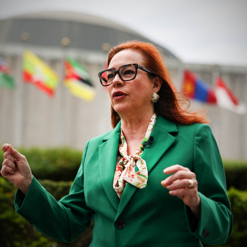 Maria Fernanda Espinosa