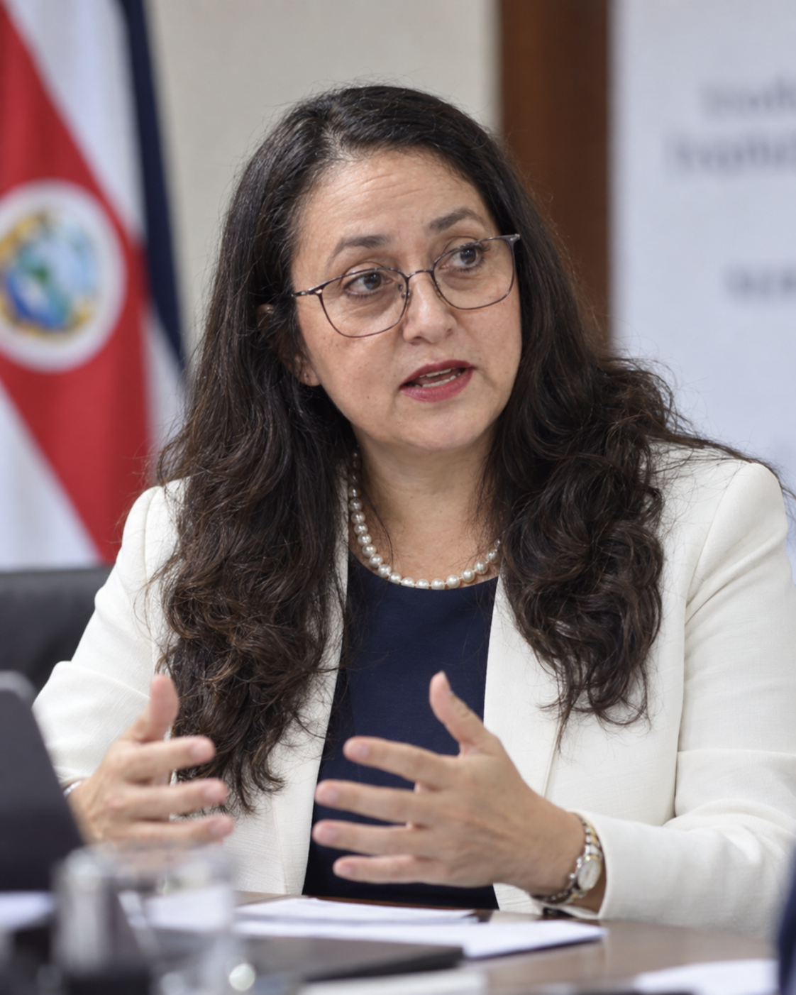 Luz Mary Alpízar Loaiza