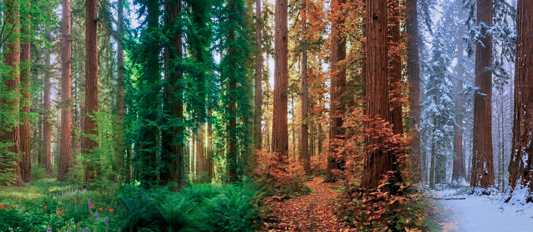 Protect your life and legacy with legal services for every season of life.