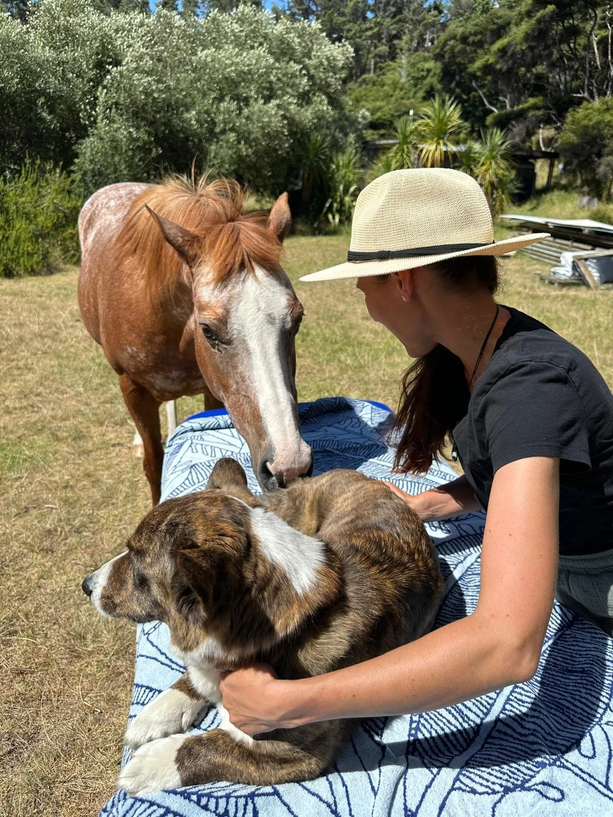 A woman wearing a wide-brimmed hat and a black shirt sits on a blue and white blanket outdoors with a brown and white puppy in her lap. A brown horse is licking or nose-touching the puppy, and there is greenery and trees in the background.