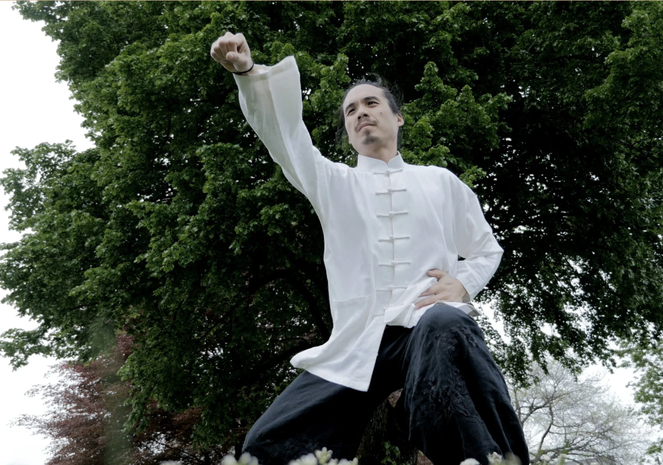 Person practicing martial arts or tai chi outdoors in front of a large green tree.
