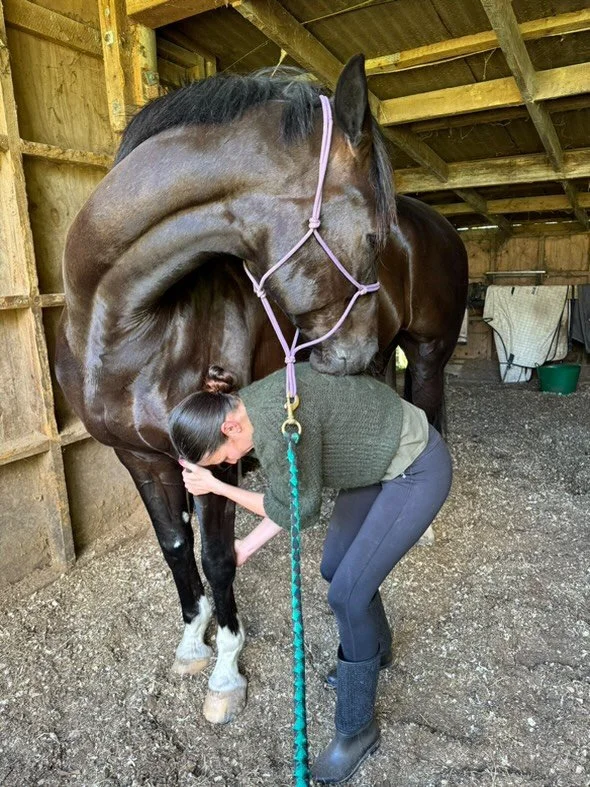 A woman hugging a large brown horse inside a wooden stable.