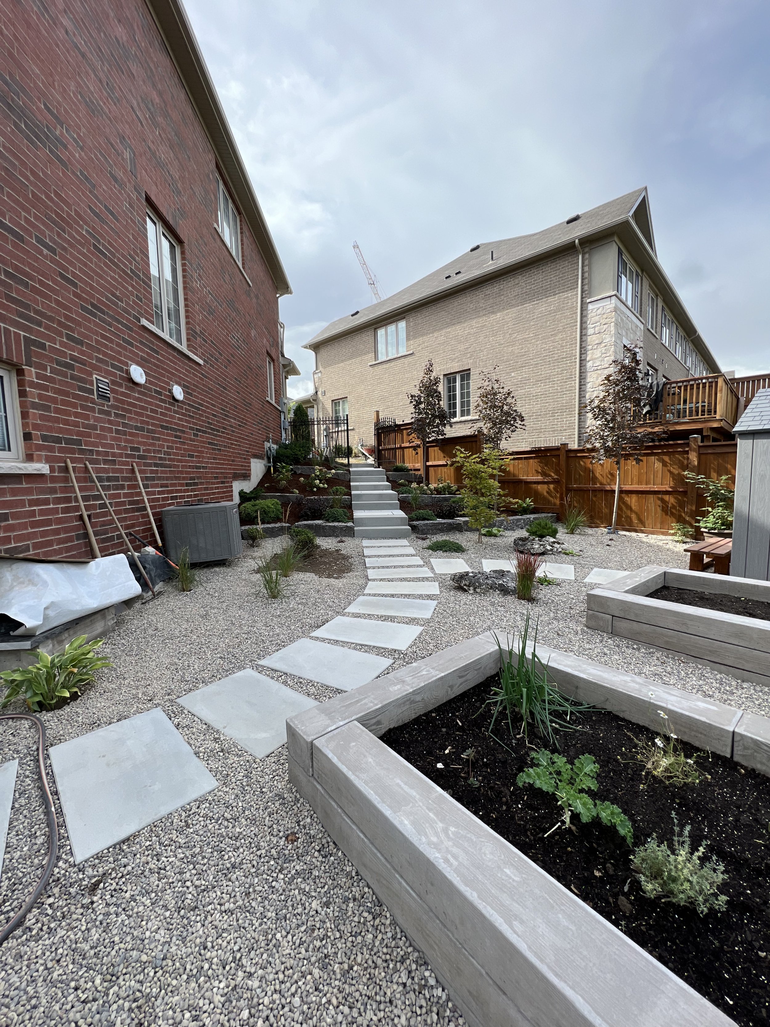 Backyard with stone pathway, raised garden beds, small trees, mulch, and new landscaping.