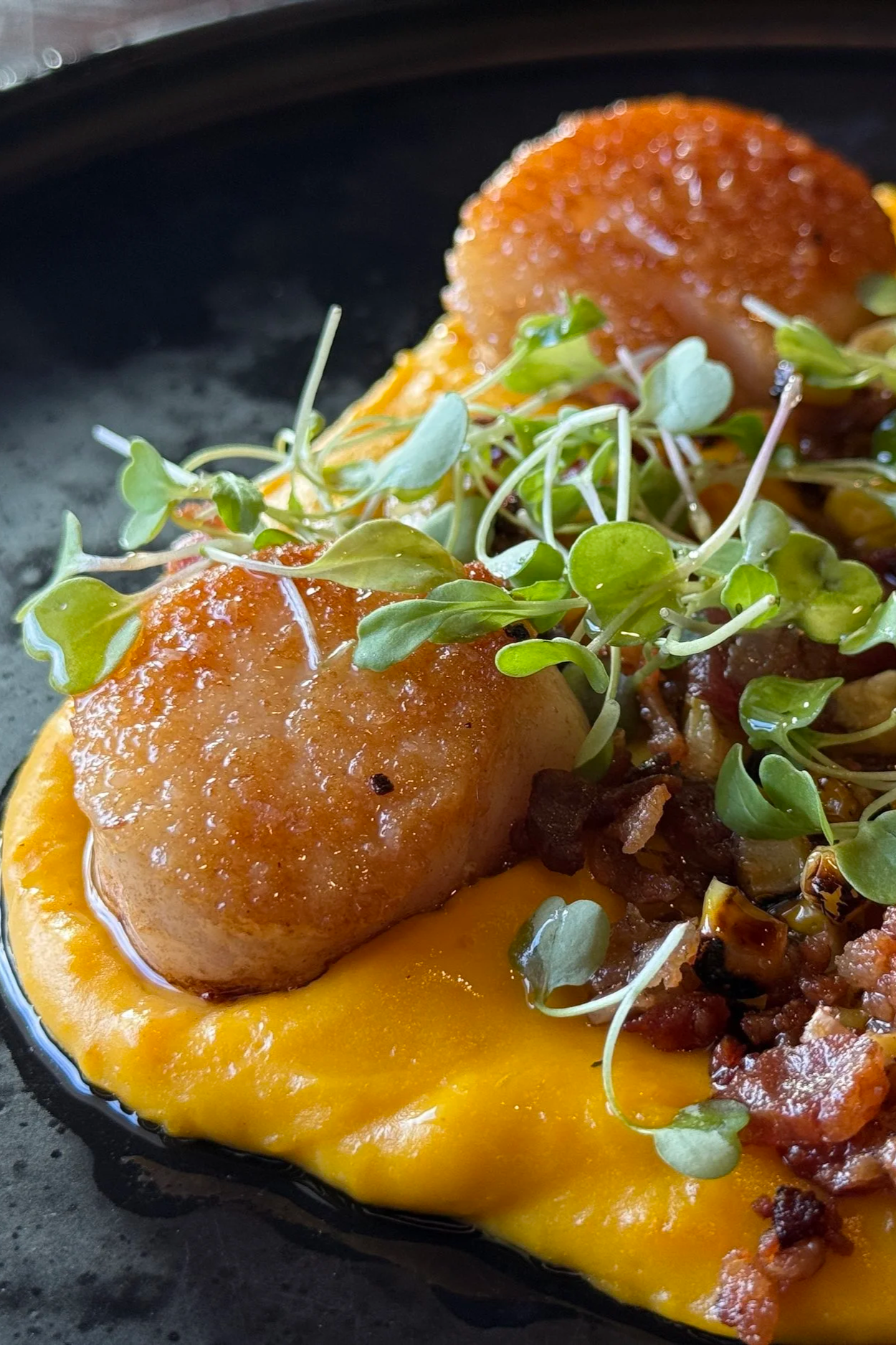 Scallops