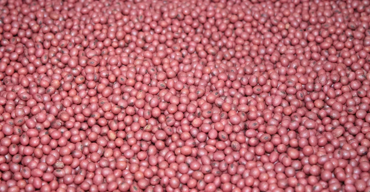 Custom Seed Treatment