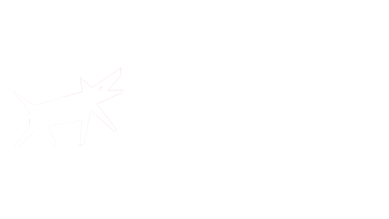 Wolfe Video