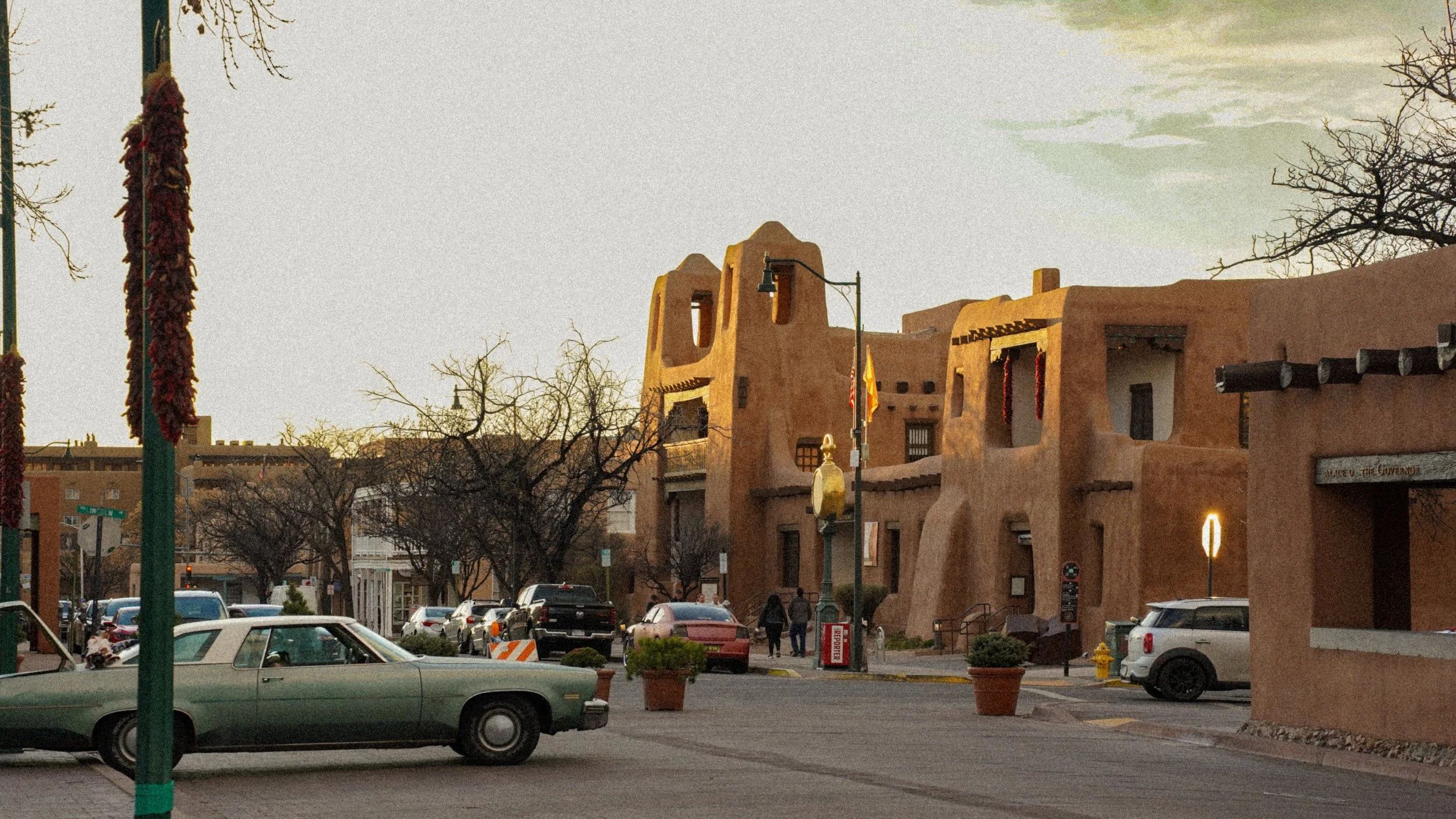 DSC01202.jpeg