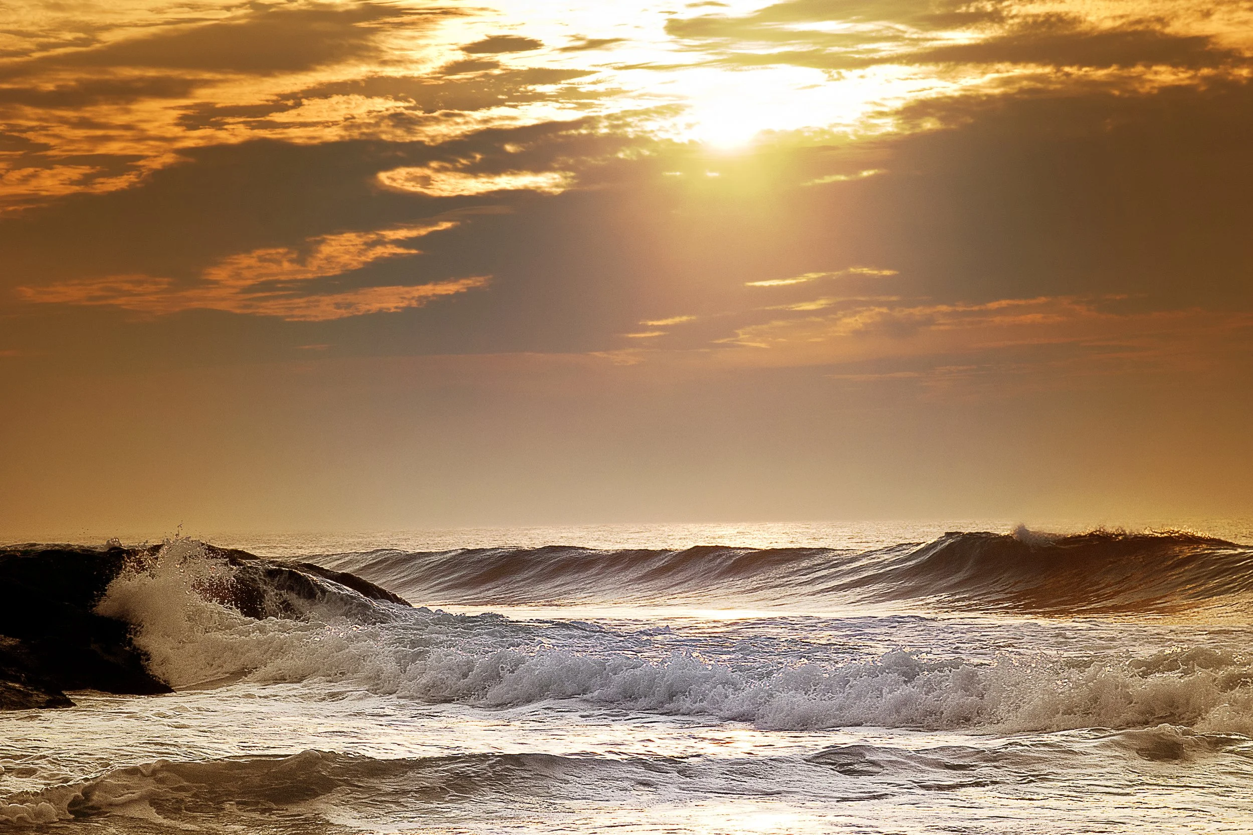 Landscapes, Trees & Water