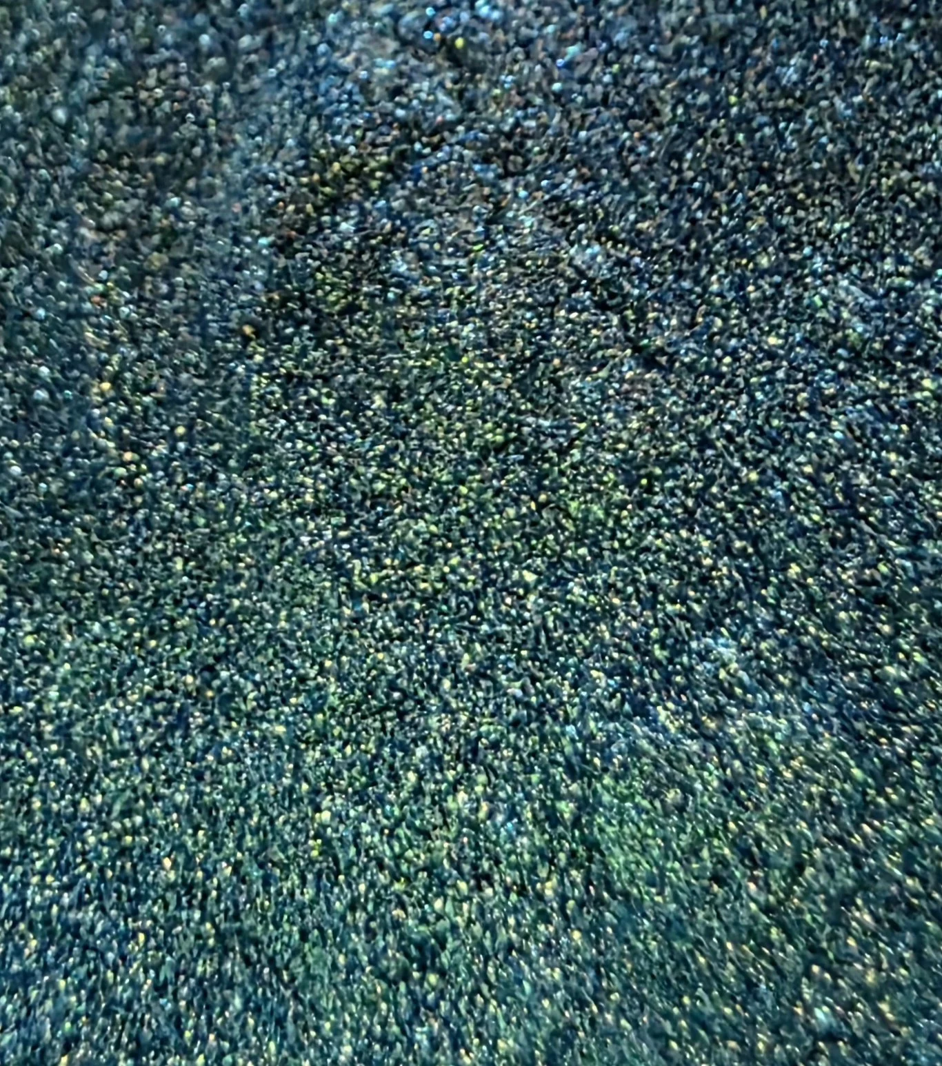 20260215_115511.jpg
